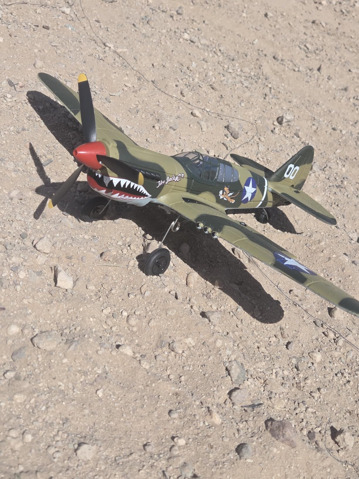 volantexrc RC Plane 4 Channel P40 Fighter with Aileron, 6-Axis Gyro, Aerobatics customer photo 2