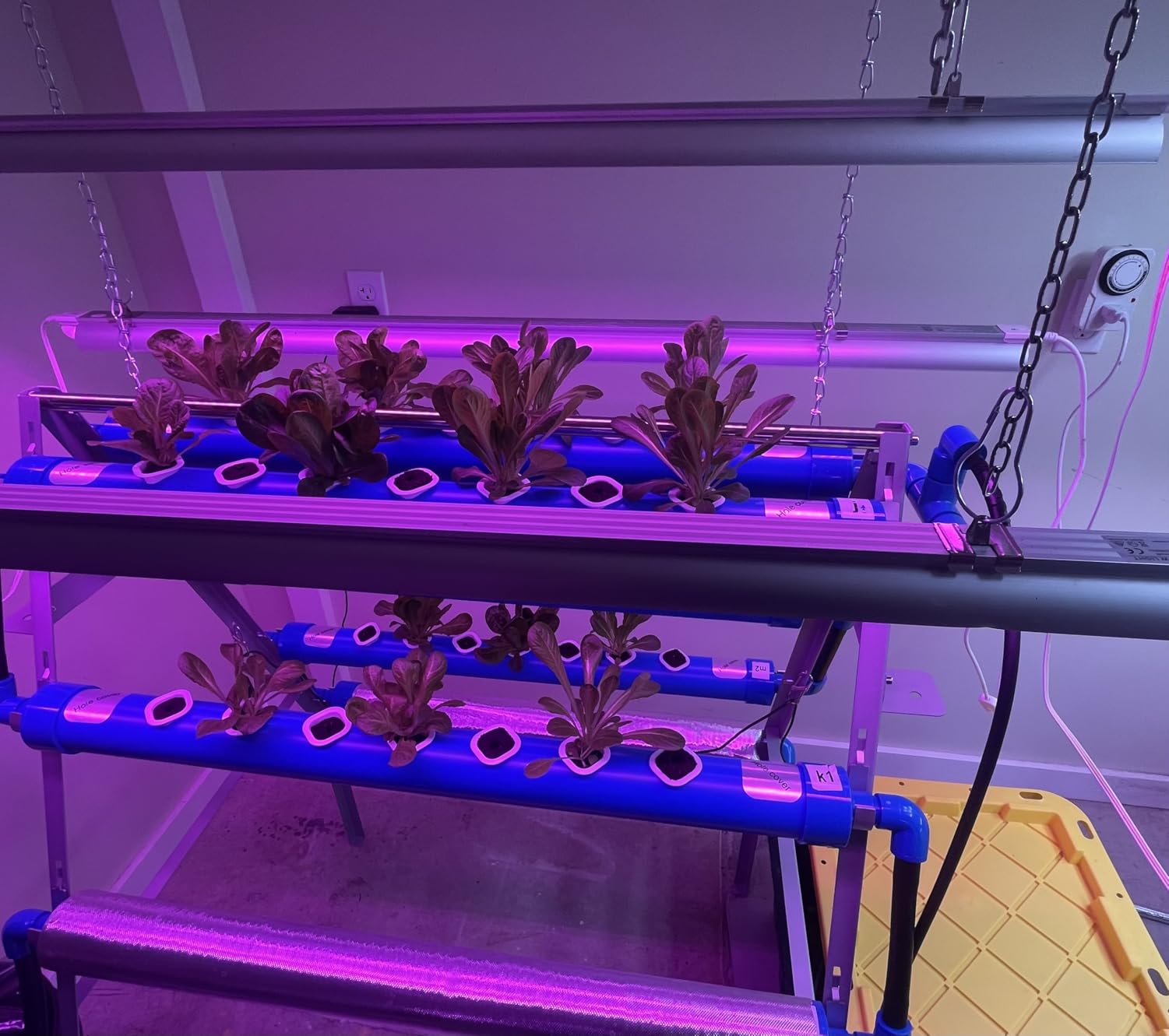 LAPOND A-Type Hydroponics Growing System Kit for Vegetables, Fruits and Herbs with 72 Plant Sites customer photo 1