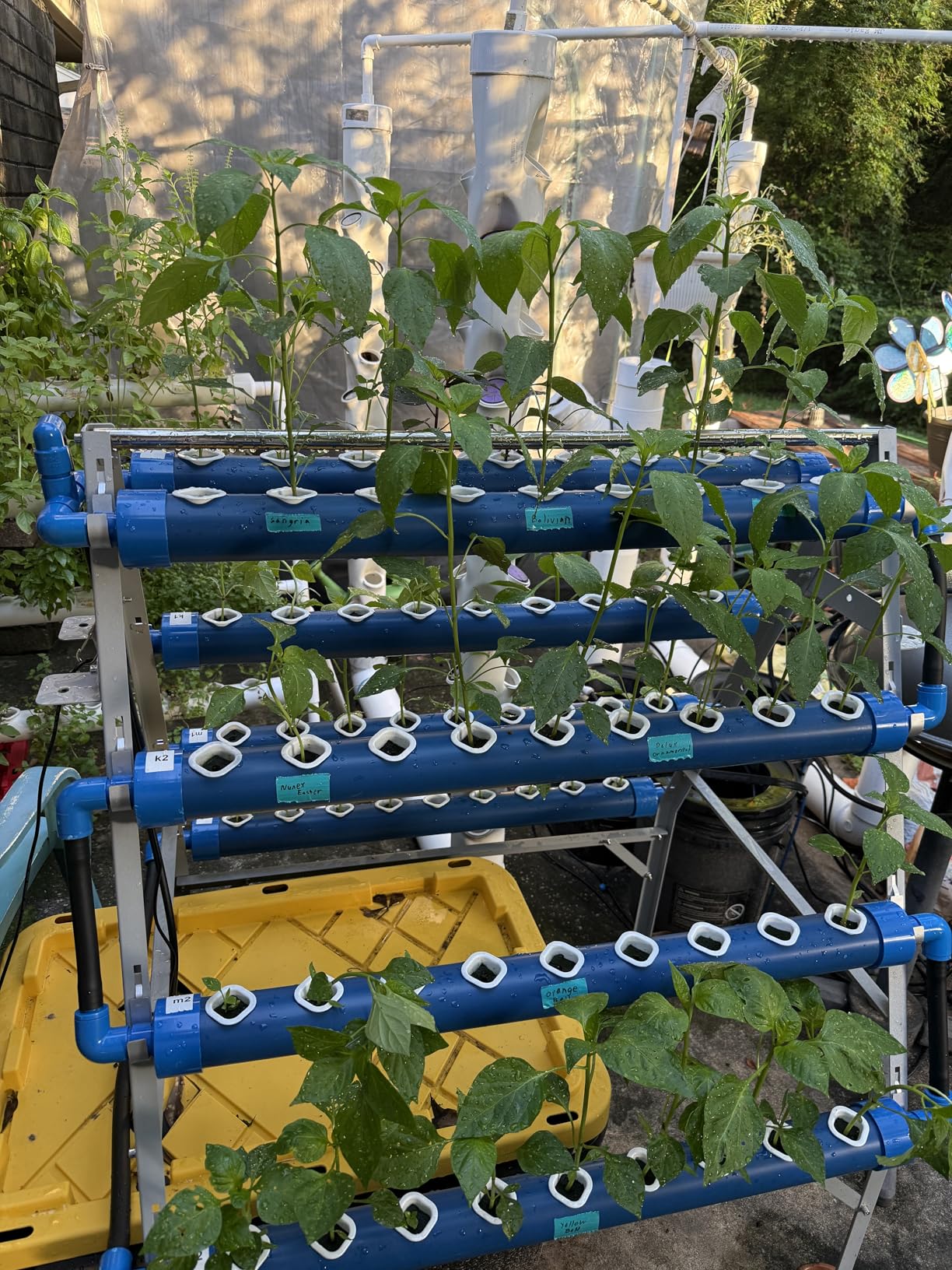 LAPOND A-Type Hydroponics Growing System Kit for Vegetables, Fruits and Herbs with 72 Plant Sites customer photo 2