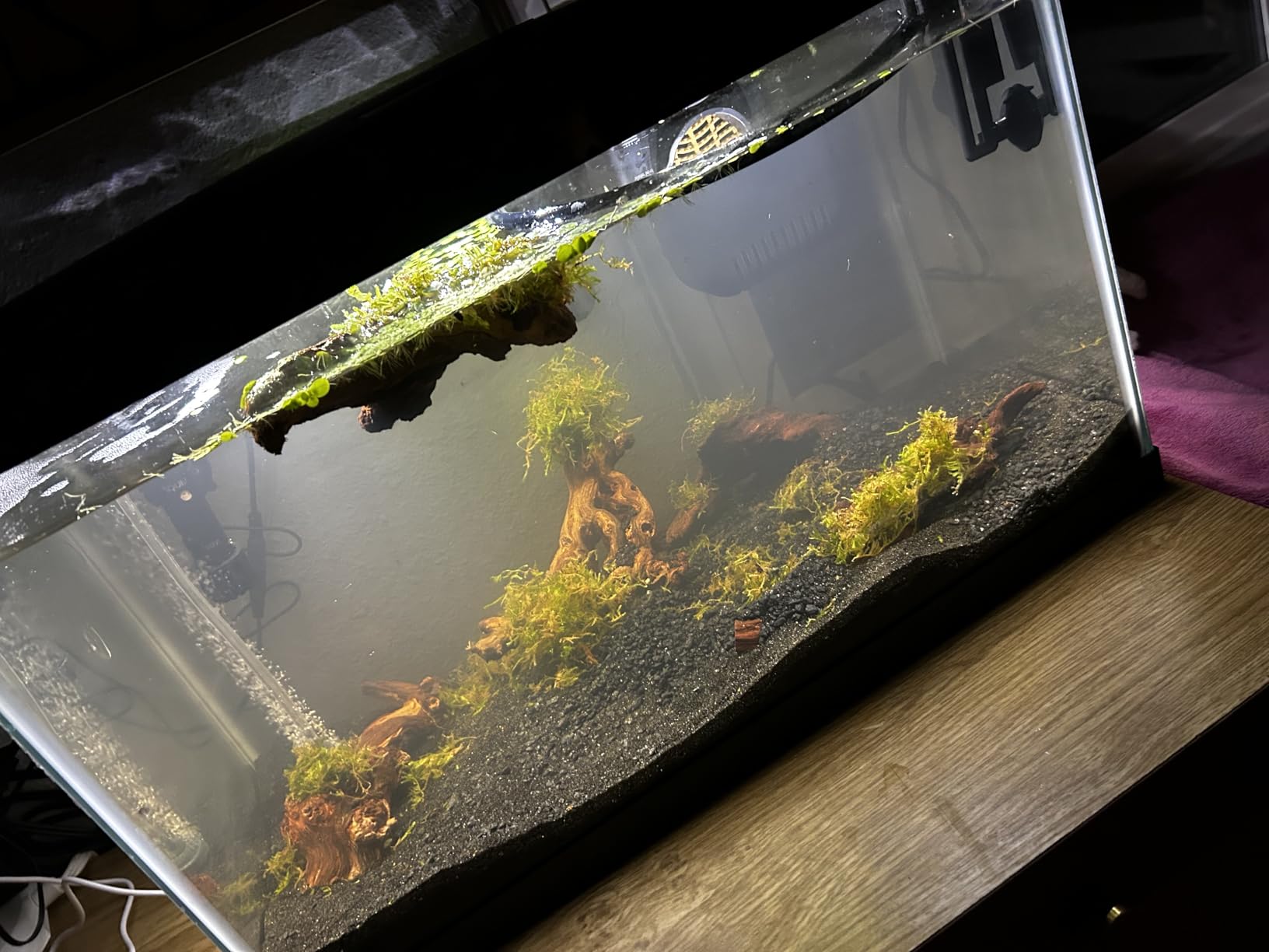 Aqueon Aquarium Starter Kit with Smart Clean Filtration and LED Lighting, Freshwater and Saltwater Fish, 20-Gallon customer photo 1