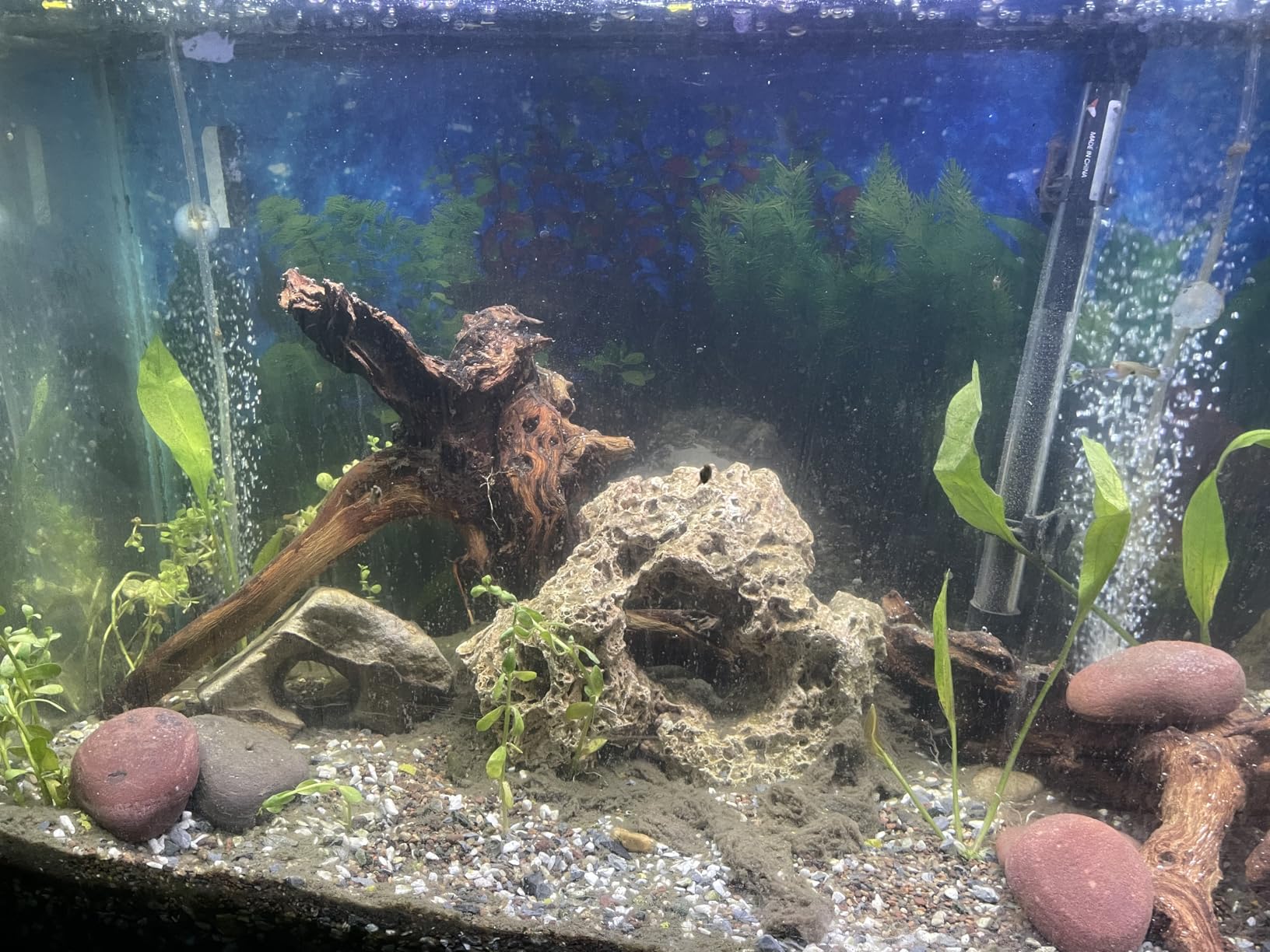 Ultum Nature Systems Driftwood - Pacific Drift Wood for Fish Tank, Planted Tank, Terriarium, Paludarium - Versatile Natural Driftwood Decor, Events Wood Centerpiece - Pacific Wood, X-Large (19-24