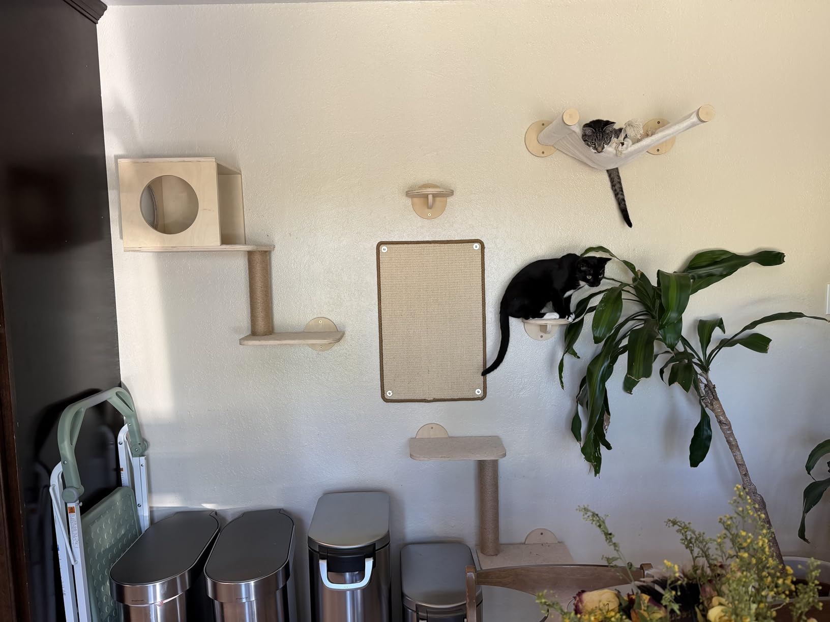 FUKUMARU Cat Wall Shelves, 5-Piece Stable Wooden Wall-Mounted Furniture Set, Kitty Climber with Hammock, House, Steps, Scratching Post (Beige) customer photo 2