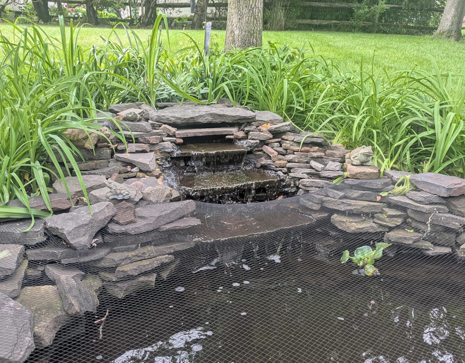 100W 1800 GPH Pond Pump for Koi Ponds & Water Feature, 14ft Lift, 180 Adjustable Outlet, Ultra-Quiet Fountain Pump, Waterfall Pump, Submersible Water Pump, Barrier Bag & 20FT Cord, UL Listed customer photo 2