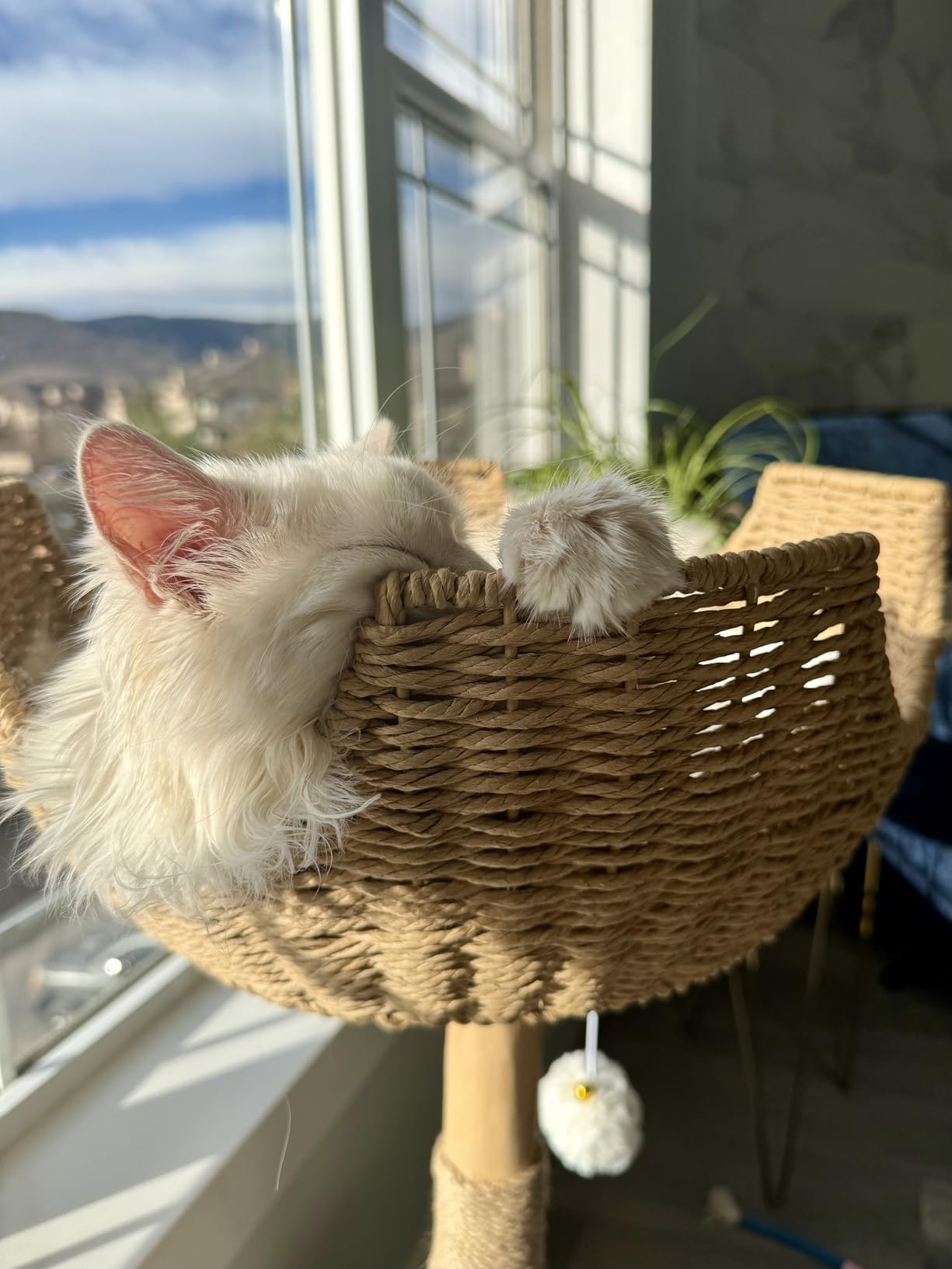 Easyego Modern Cat Tree, 39.9