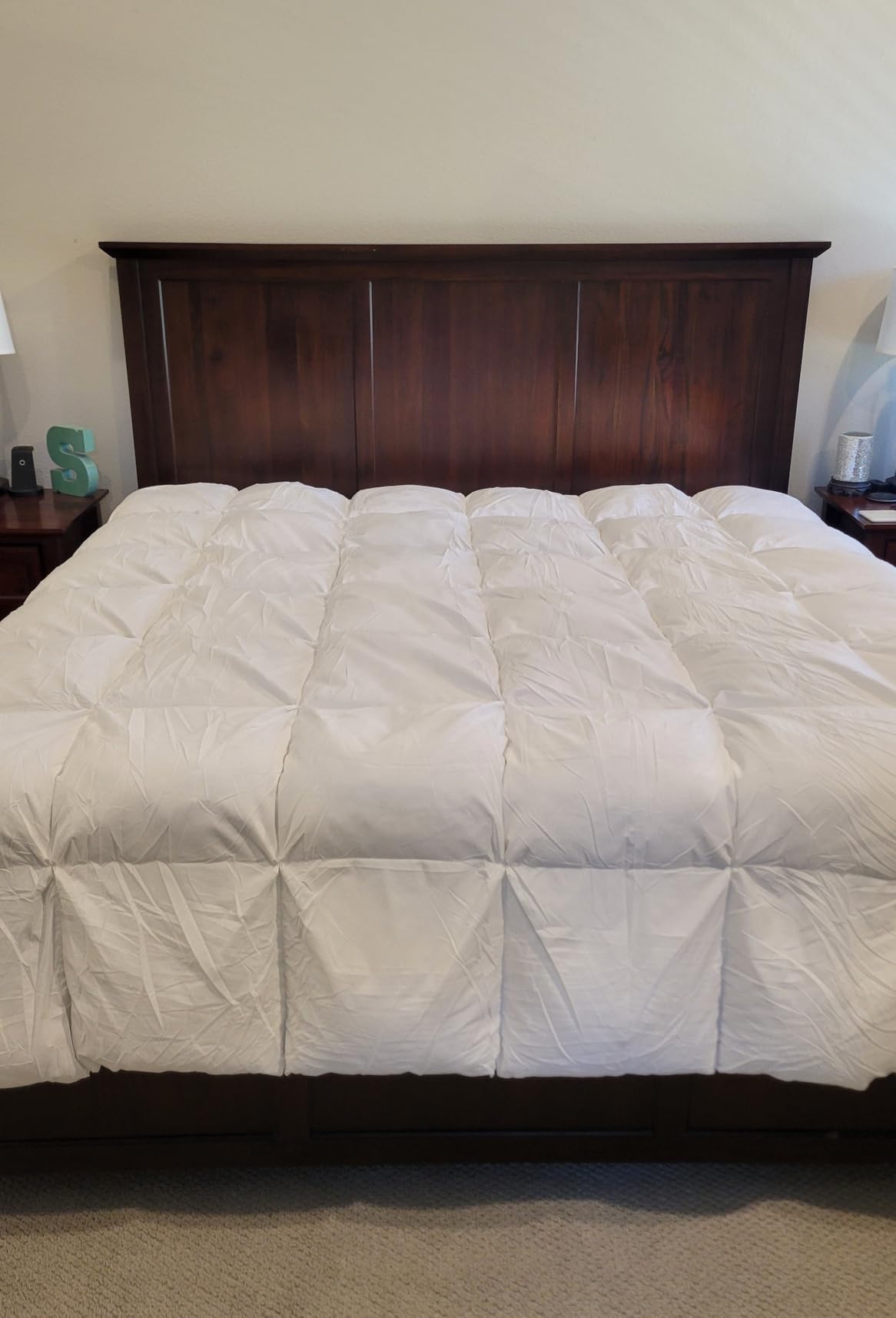 Three Geese Luxury Goose Down Comforter King Size, Ultra-Soft Fluffy Duvet Insert for All Season, 1800TC Cotton Blended Cover Hotel Style Bedding Comforter 106x90 inch customer photo 2