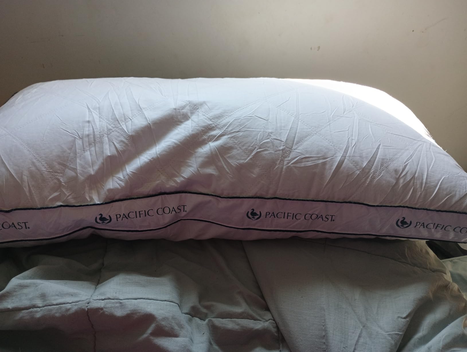 Pacific Coast Gusseted Pillows Queen Size Set of 2, Goose Feather and Down Firm Pillows, Luxury Hotel Collection Bed Pillows customer photo 1