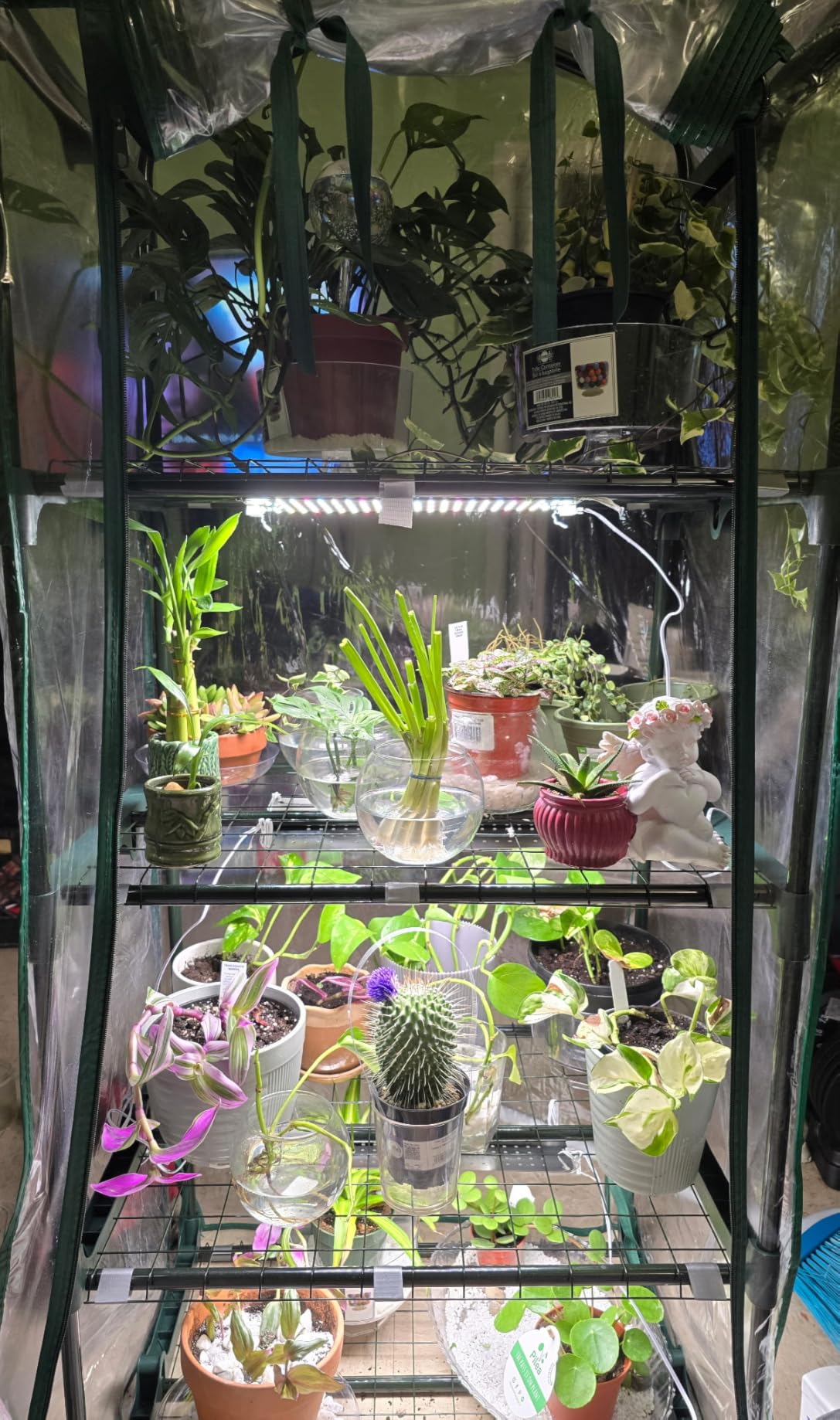 Miracle-GRO 4'8