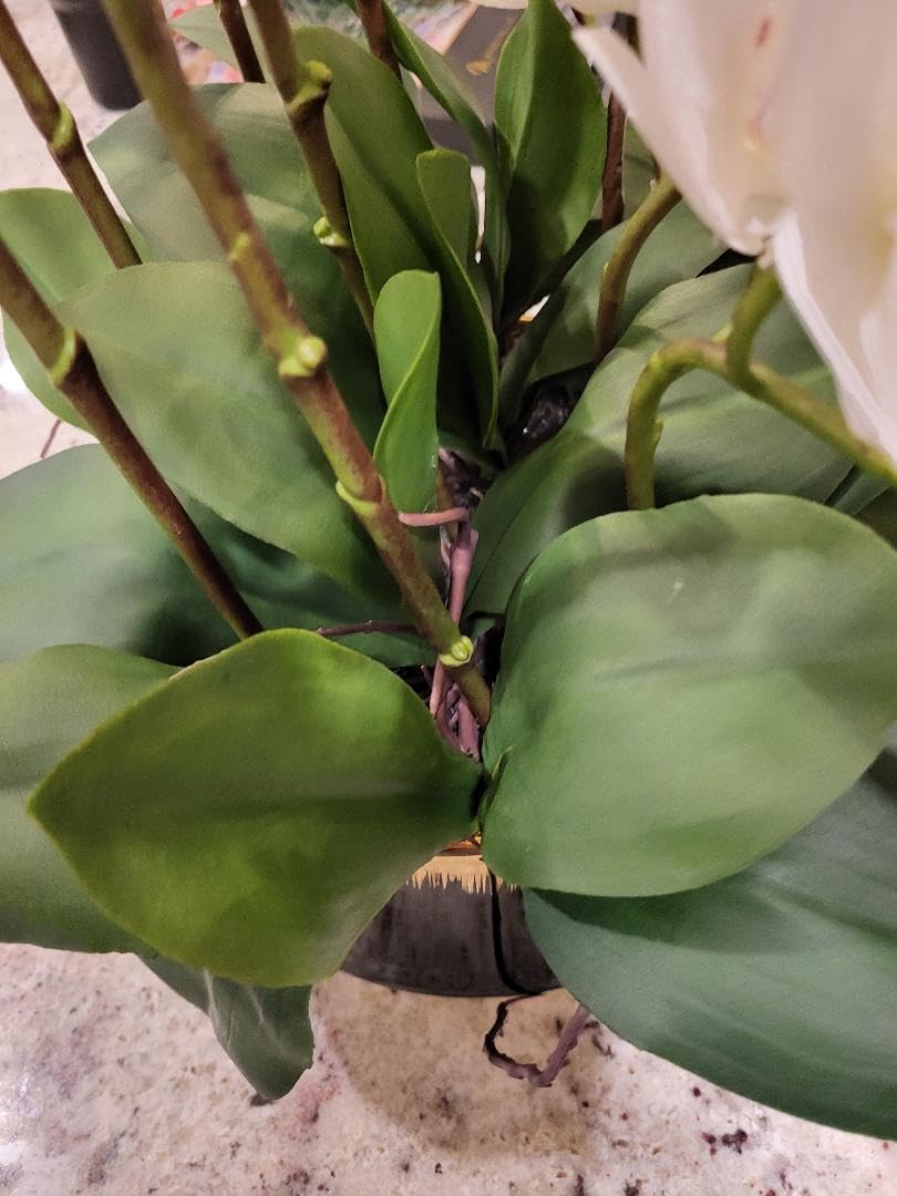 CXGS Orchids Artificial Flower Real Touch Faux Orchid in Large Ceramic Vase 23.6'' Realistic White Fake Phalaenopsis Floral Arrangements Centerpiece Table Home Indoor Decor customer photo 2