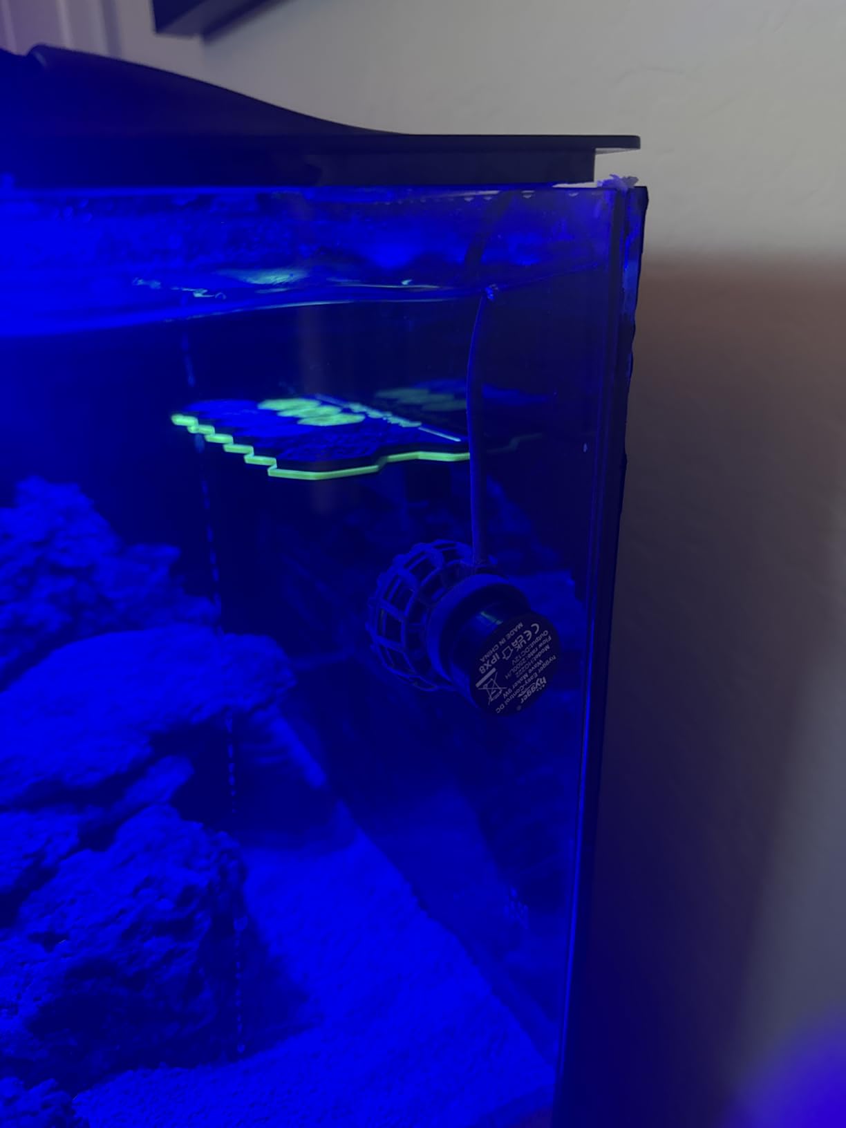 Magnetic Coral Frag Rack for Reef Tank, Saltwater Aquarium Frag Holder with 11 Slots & 13 Frag Plugs, Strong Magnet Glass Mount (Up to ~2cm), Multi-Use Aquarium & Hydroponic Plant / Reptile Display Stand customer photo 1