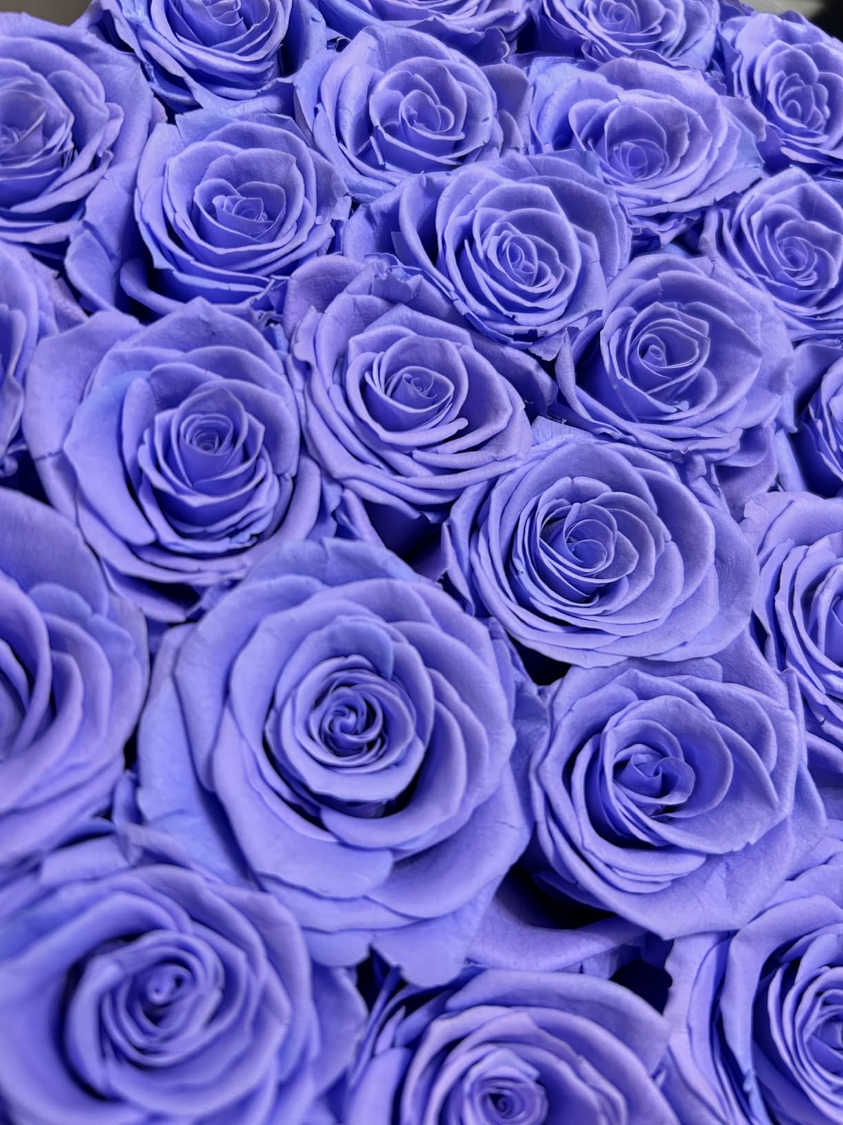 100 Piece Roses in a Velvet Box, Flowers for Delivery, Preserved Flowers Birthday Gifts for Women Mom and Wife (Pink) customer photo 1