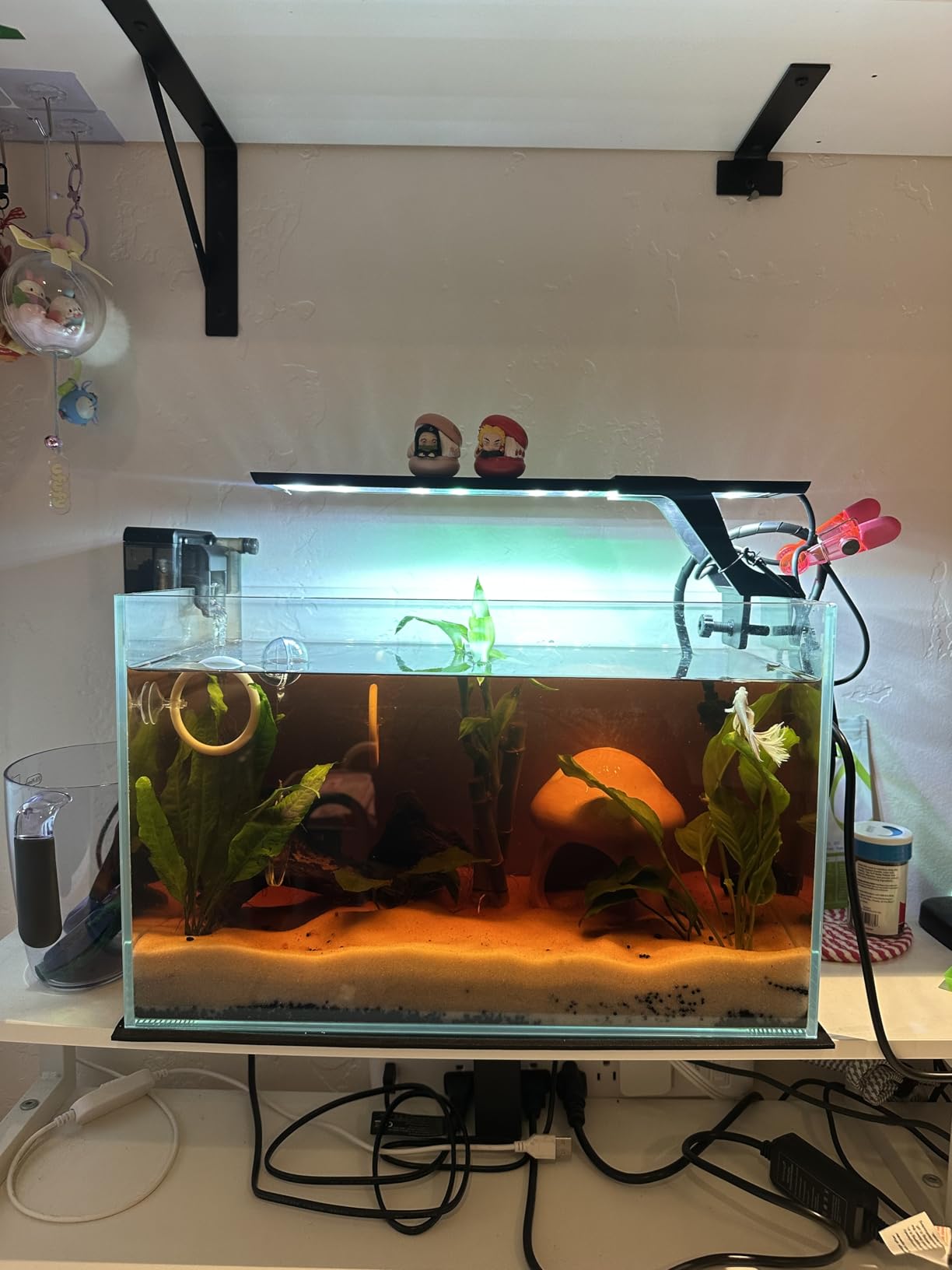 5 Gallon Ultra Clear Glass Fish Tank, Easy to Maintain Small Aquarium for Betta, Goldfish, Shrimp, Snails and Aquatic Plants customer photo 1