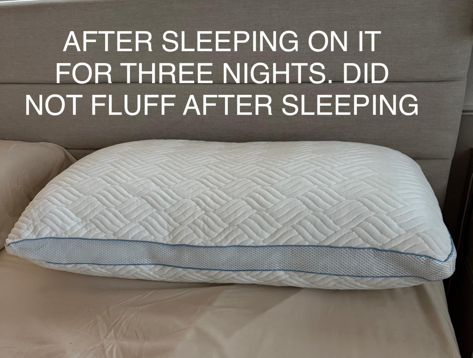 Hungarian Luxurios Goose Down Pillows King Size 1050 Fill Power, 80% Goose Down 20% Goose Feather Bed Pillows with 100% Cotton Shell 600 Thread Count Fluffy Soft Cozy (20