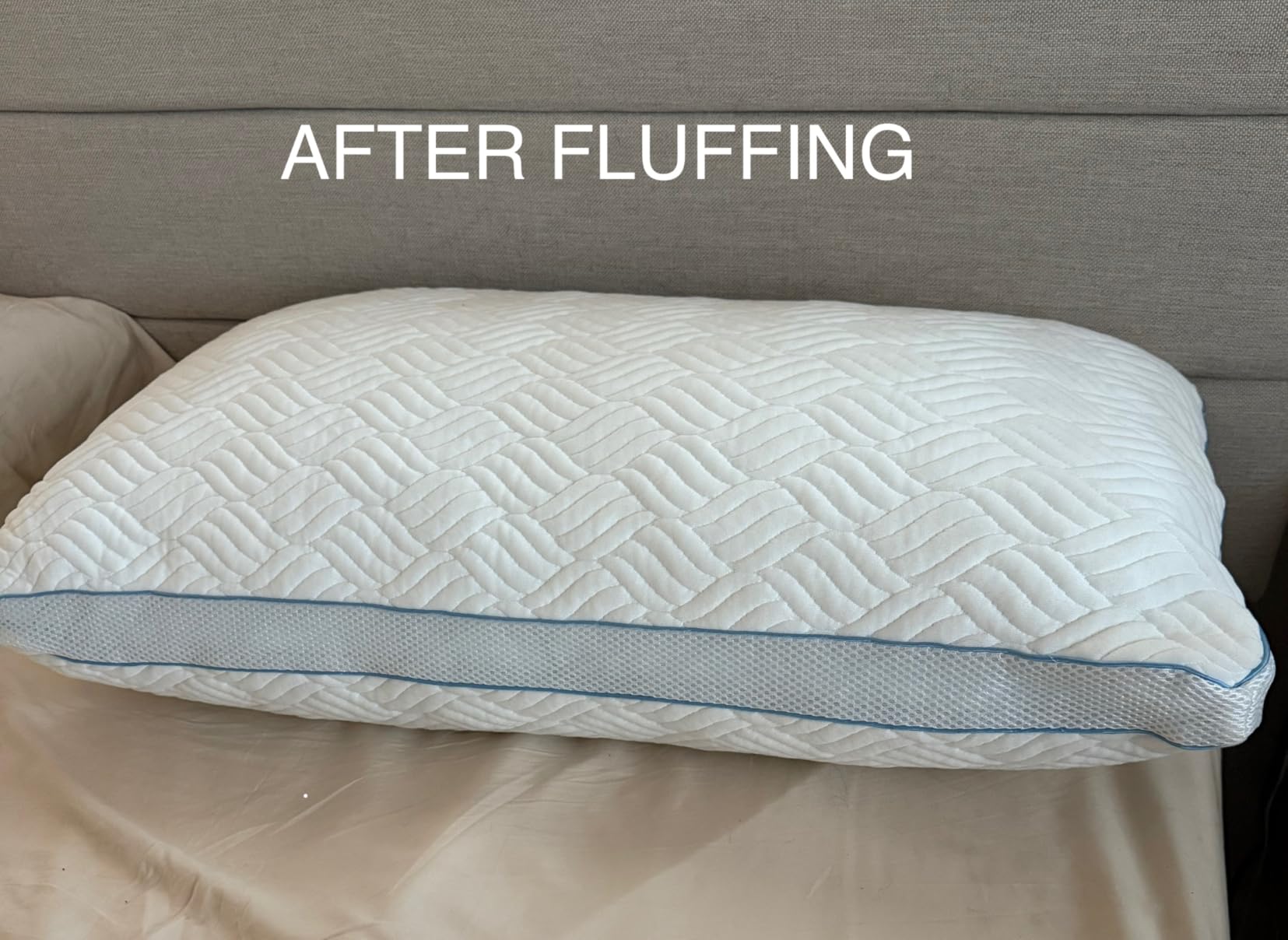 Hungarian Luxurios Goose Down Pillows King Size 1050 Fill Power, 80% Goose Down 20% Goose Feather Bed Pillows with 100% Cotton Shell 600 Thread Count Fluffy Soft Cozy (20