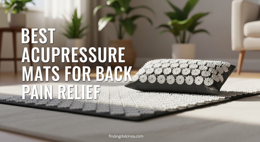 Current image: Best Acupressure Mats for Back Pain Relief