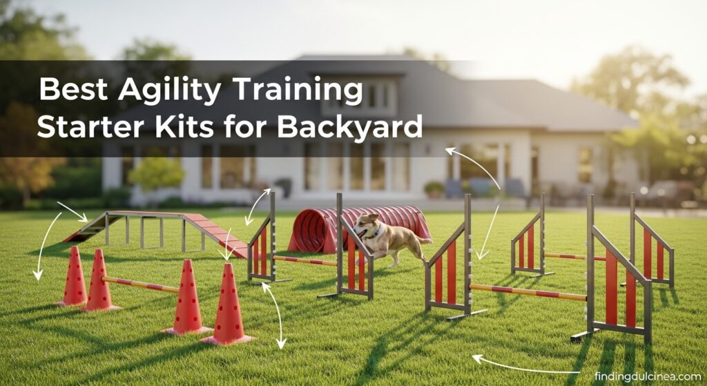 Best Agility Training Starter Kits for Backyard 