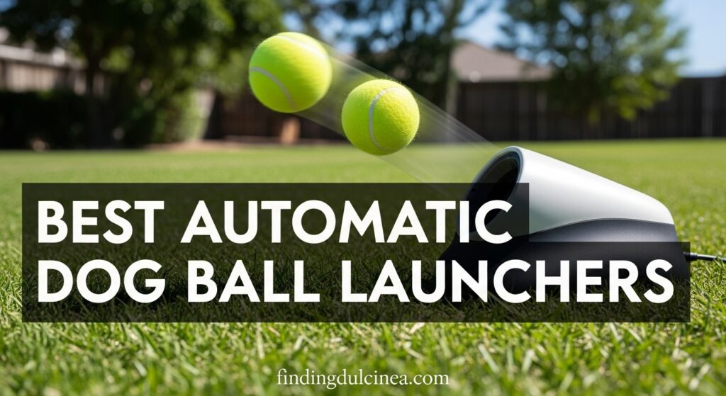 Current image: Best Automatic Dog Ball Launchers