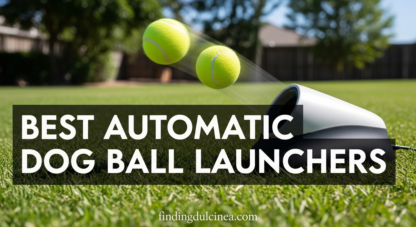 Best Automatic Dog Ball Launchers