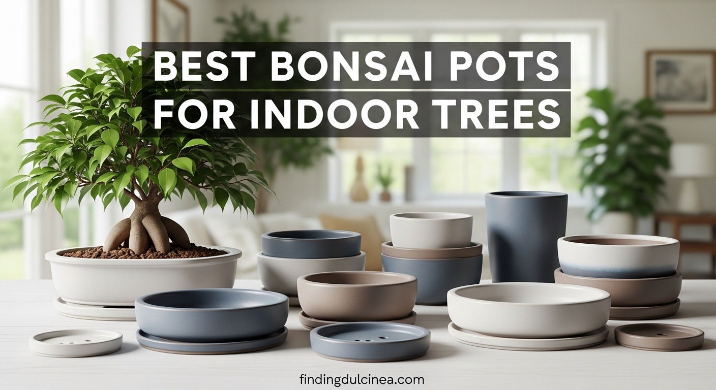 Best Bonsai Pots for Indoor Trees
