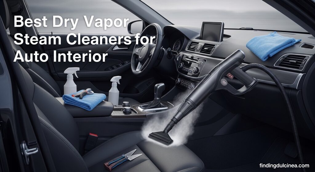 Best Dry Vapor Steam Cleaners for Auto Interiors