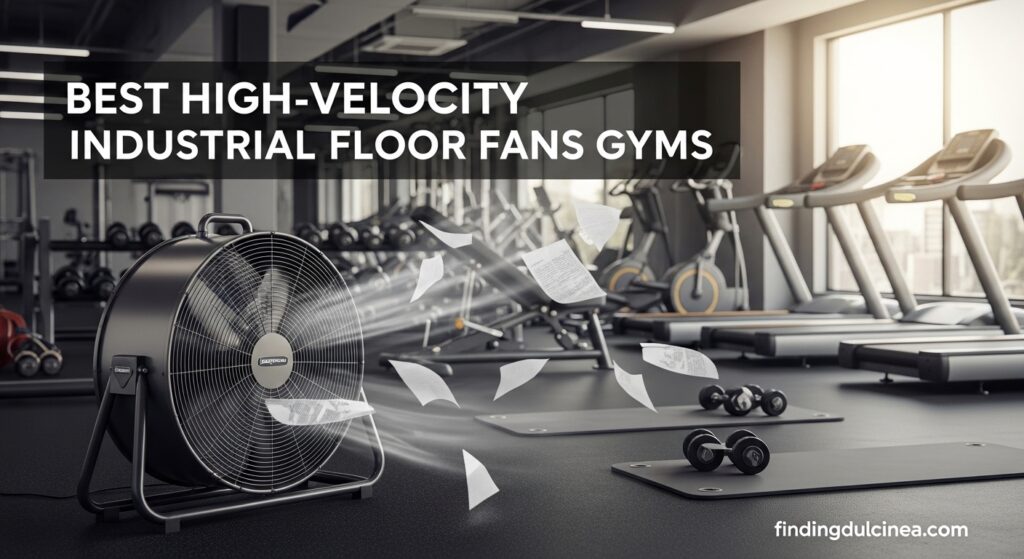 Best High-Velocity Industrial Floor Fans for Gyms