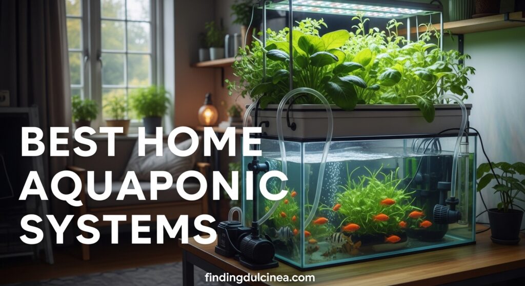 Current image: Best Home Aquaponic Systems