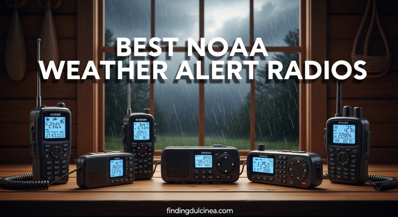 Best NOAA Weather Alert Radios