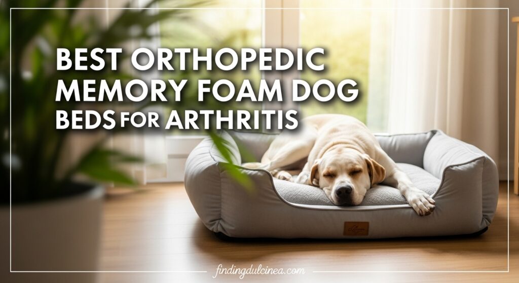 Current image: Best Orthopedic Memory Foam Dog Beds for Arthritis