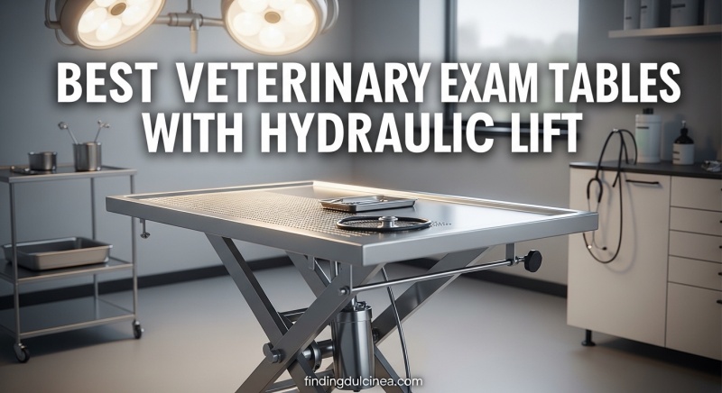 Best Veterinary Exam Tables with Hydraulic Lift