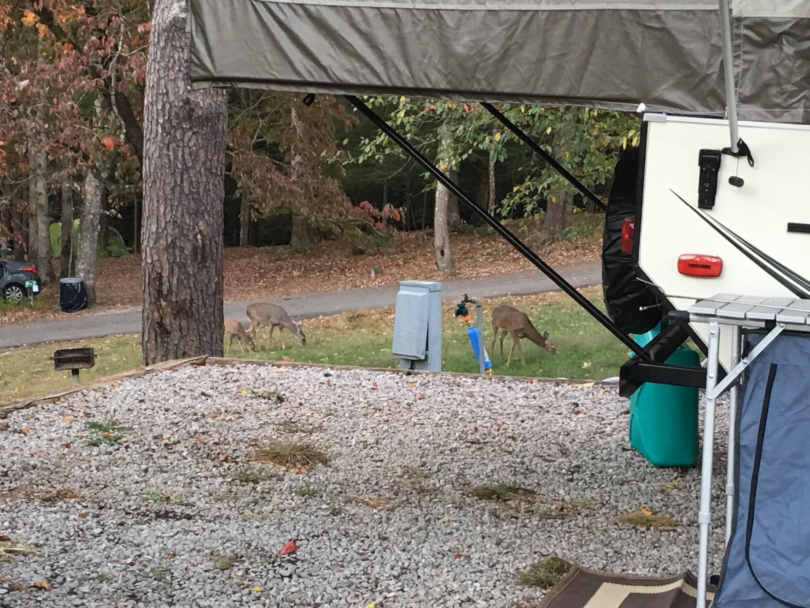 Camco Tastepure RV Water Filter - Advanced RV Inline Water Filter with Flexible Hose Protector - GAC & KDF Filtration - Made in USA - Camping Essentials for Fresh Drinking Water (40043) customer photo 2