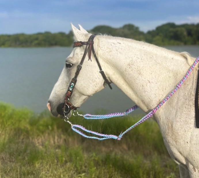 Tough 1 Kelly Silver Star Kelly Silver Star 3 Piece Dogbone Roller Snaffle Bit customer photo 1