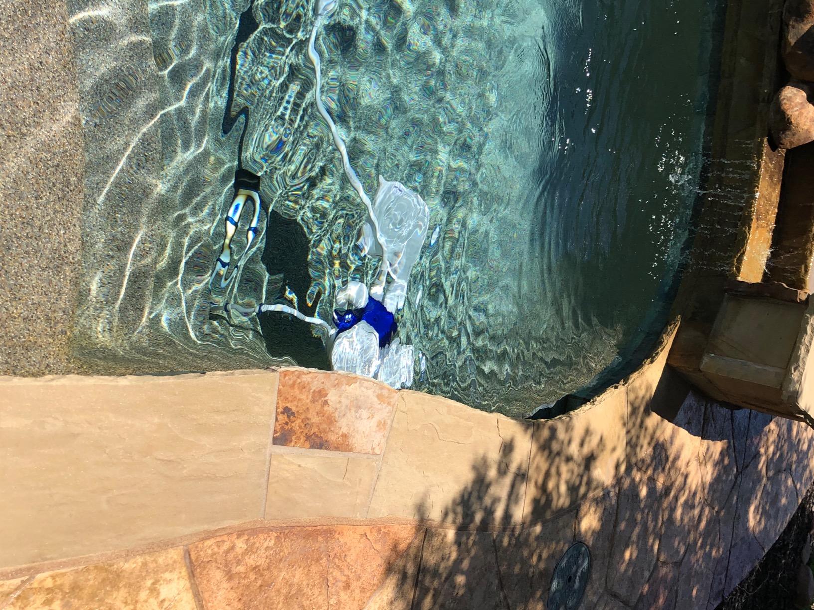 Polaris Vac-Sweep 380 Pressure Inground Pool Cleaner, Triple Jet Powered, 31ft of Hose with a Single Chamber Debris Bag customer photo 2