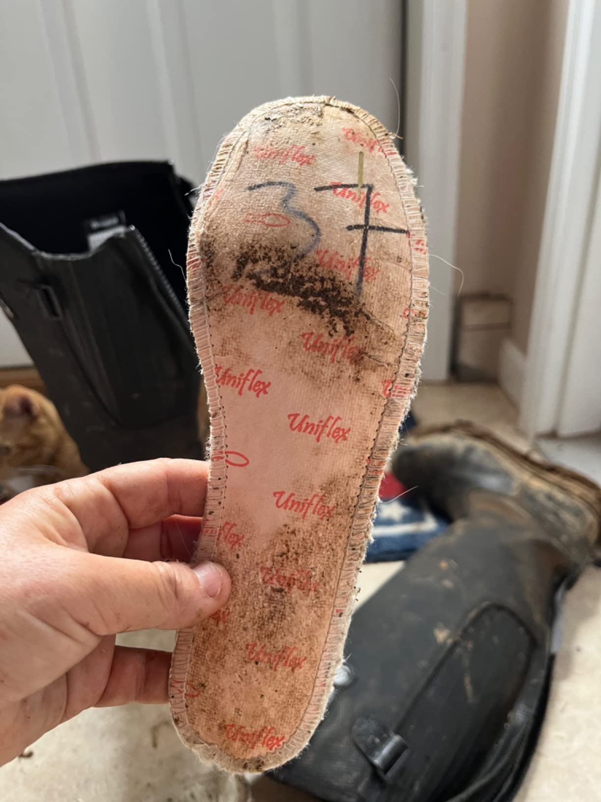 Mountain Horse Rimfrost Rider III Boots customer photo 1