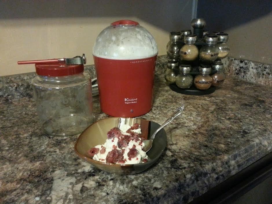 Euro Cuisine YM260 Yogurt Maker with Adjustable Time & Temperature Control, 2-Quart Glass Jar, Free Thermometer & Cotton Strainer Bag customer photo 2