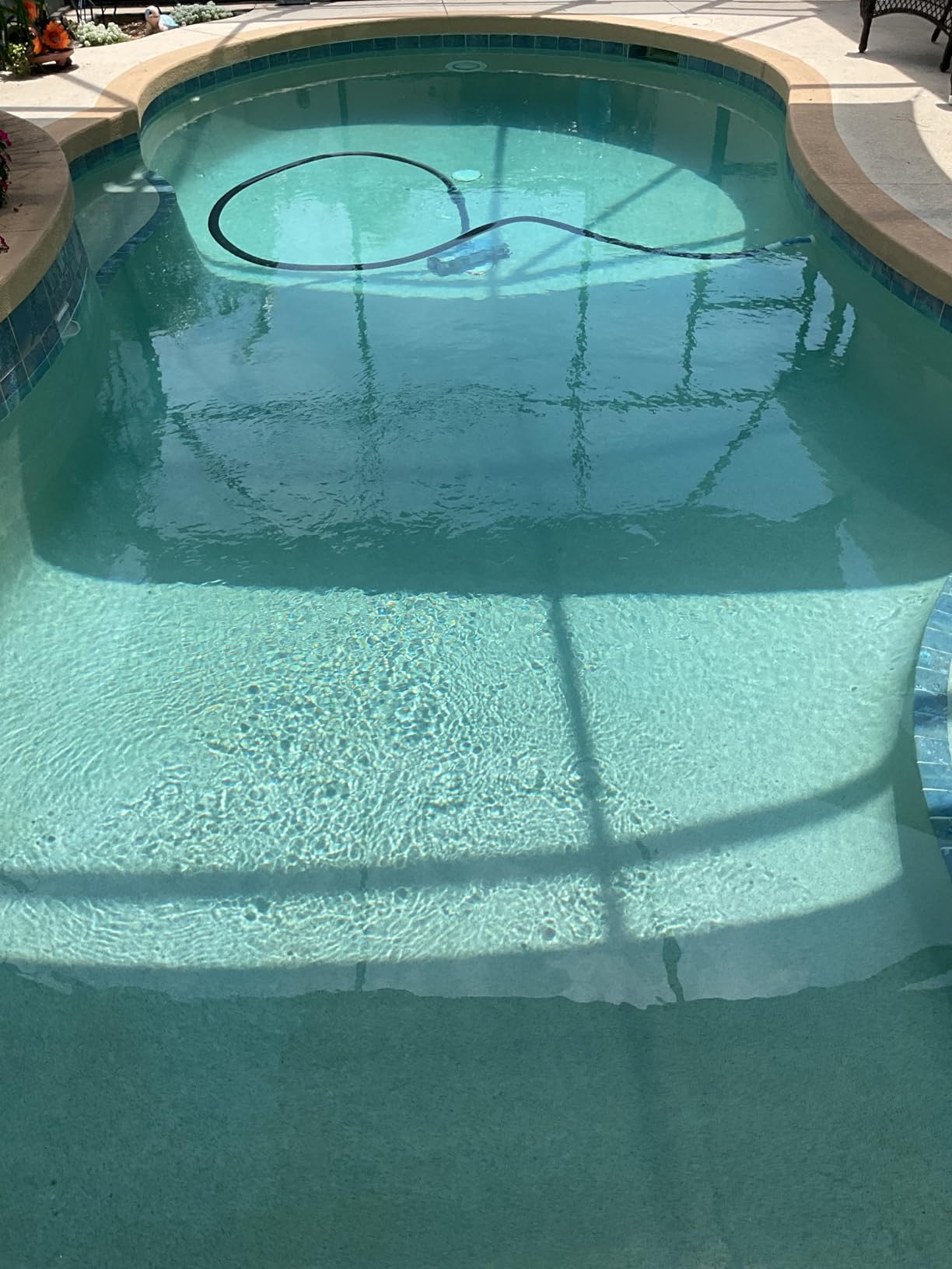 In The Swim Chlorine-Free Pool Shock - Quick Dissolving, Fast-Acting, Shock-Oxidizer for Swimming Pools, Spas, and Salt Chlorinated Pools Compatible - 12 x 1 Pound Bags customer photo 1