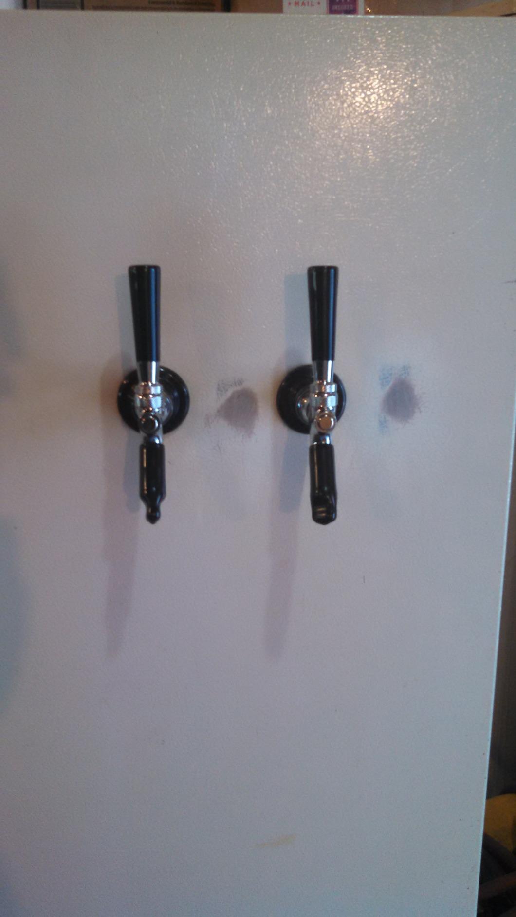 Kegco BF 2SCK Conversion Kit, 2 Faucet without Tank, Standard customer photo 1