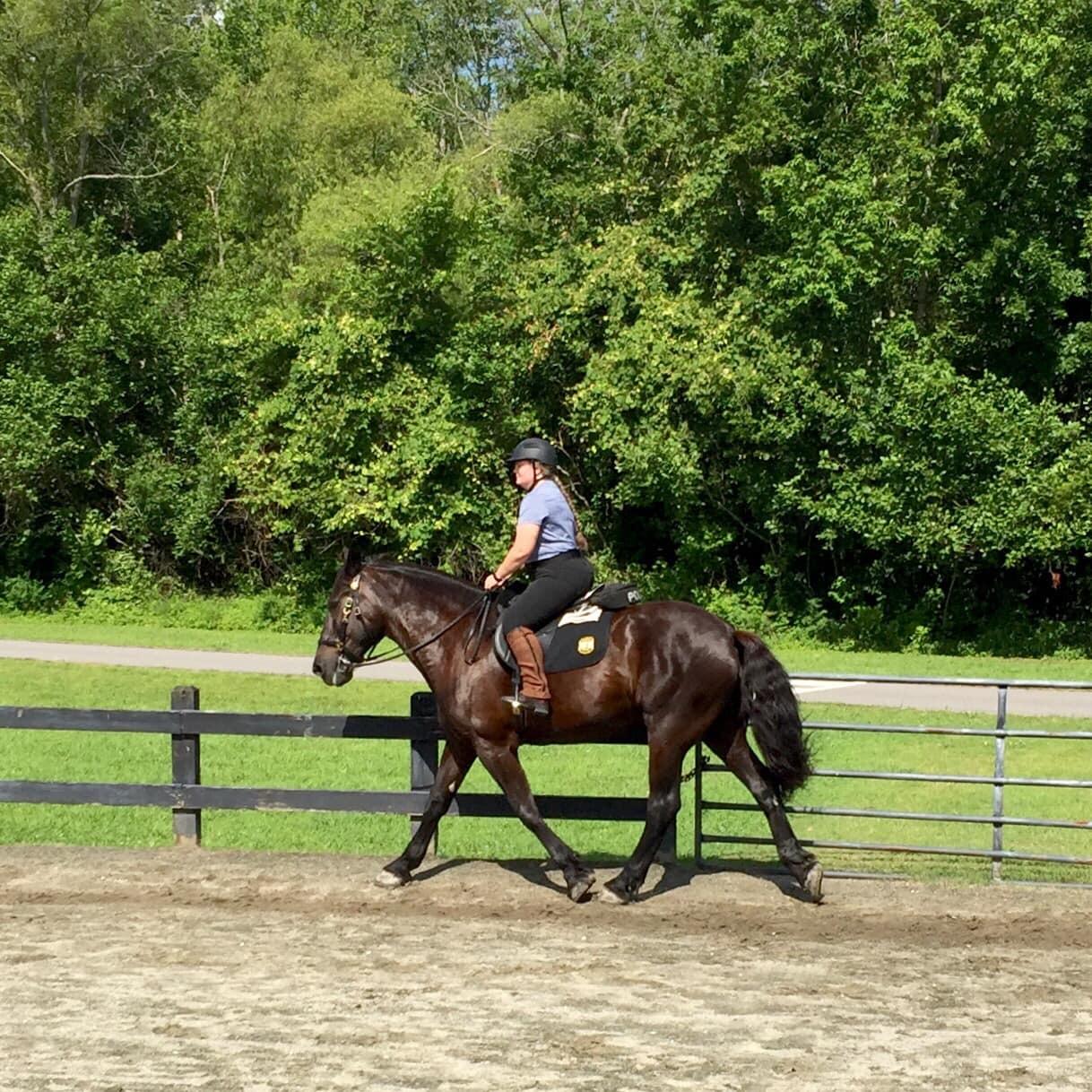Tough 1 Breatheable Half Chaps customer photo 1