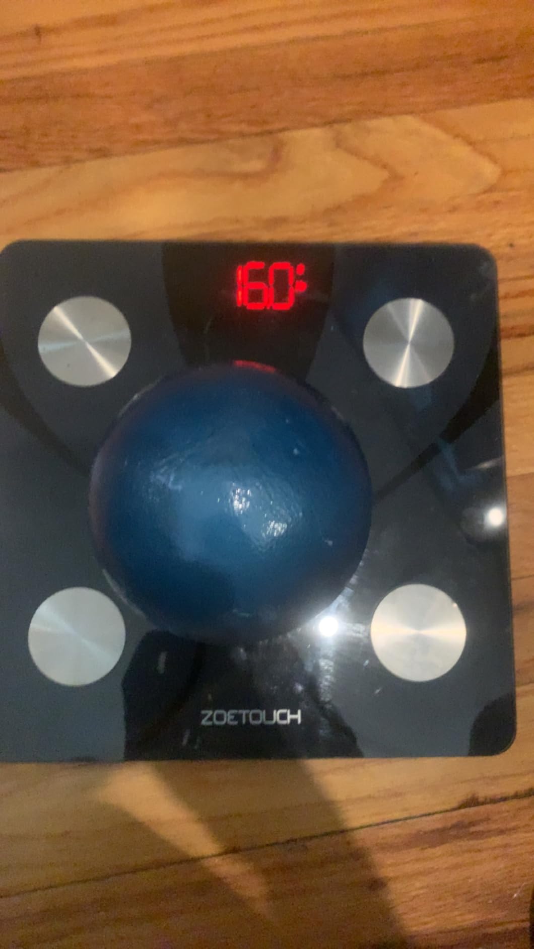 Champro Cast Iron Shot Put customer photo 1