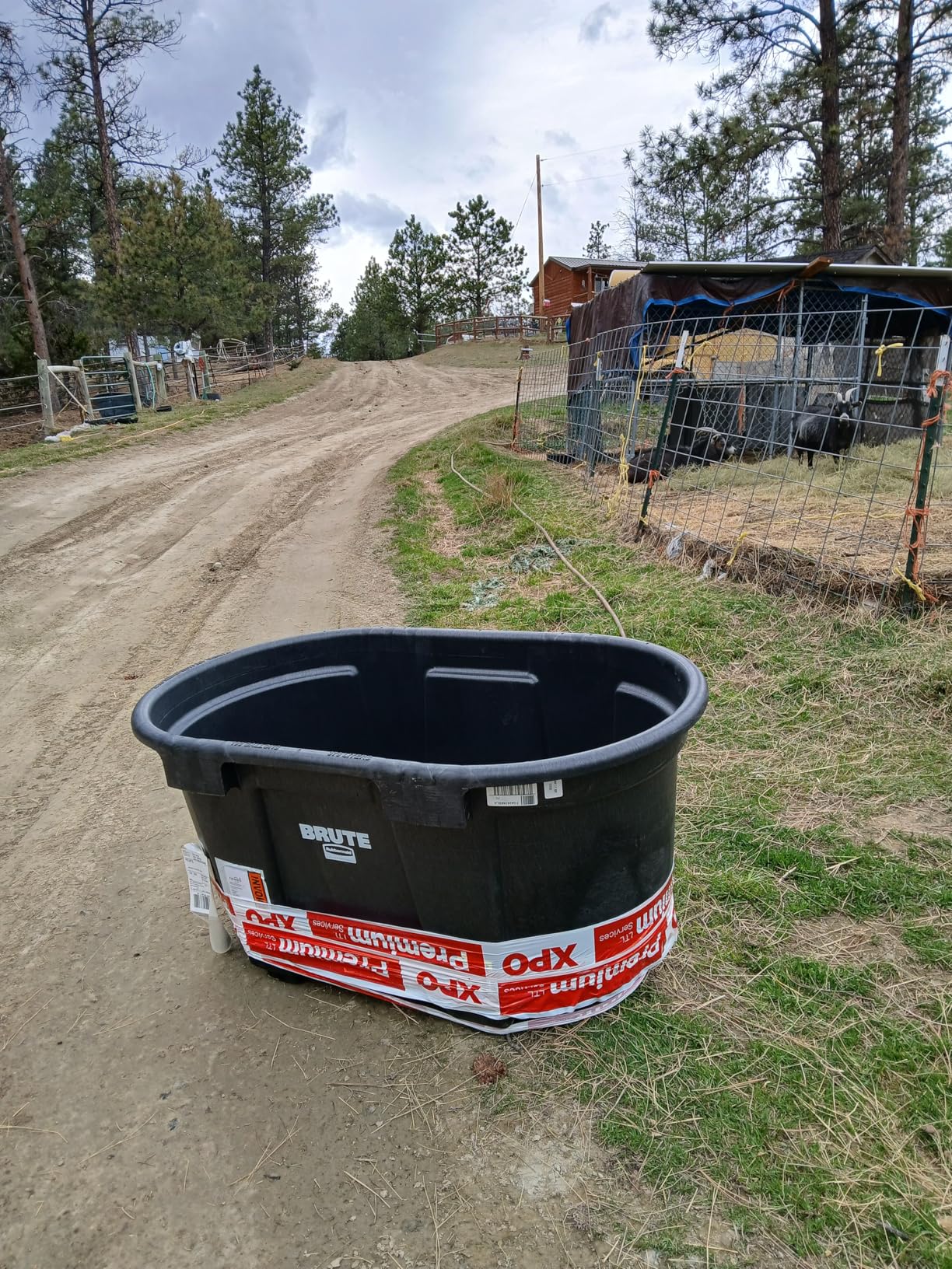 Rubbermaid Commercial Products Stock Tank 100-Gallons Structural Foam Heavy Duty Container for Livestock/Animal/Cattle Feed and Water Outdoor Homemade Pool/Hot Tub/Bathtub and Pet Cleaning/Dog Wash customer photo 1