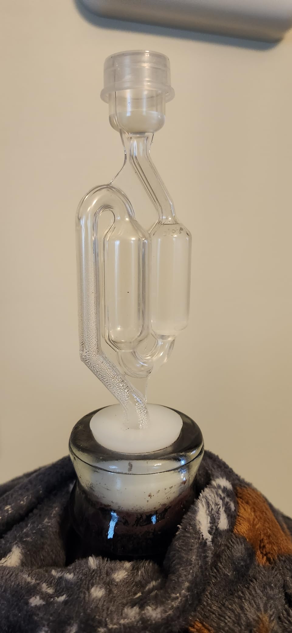 Fastrack Airlocks for Fermenting (Set of 3) | Bubble Airlock for Wine Making and Beer Making | BPA-Free S-Shaped | Used for Brewing Wine, Beer, Pickles & More | Transparent customer photo 2