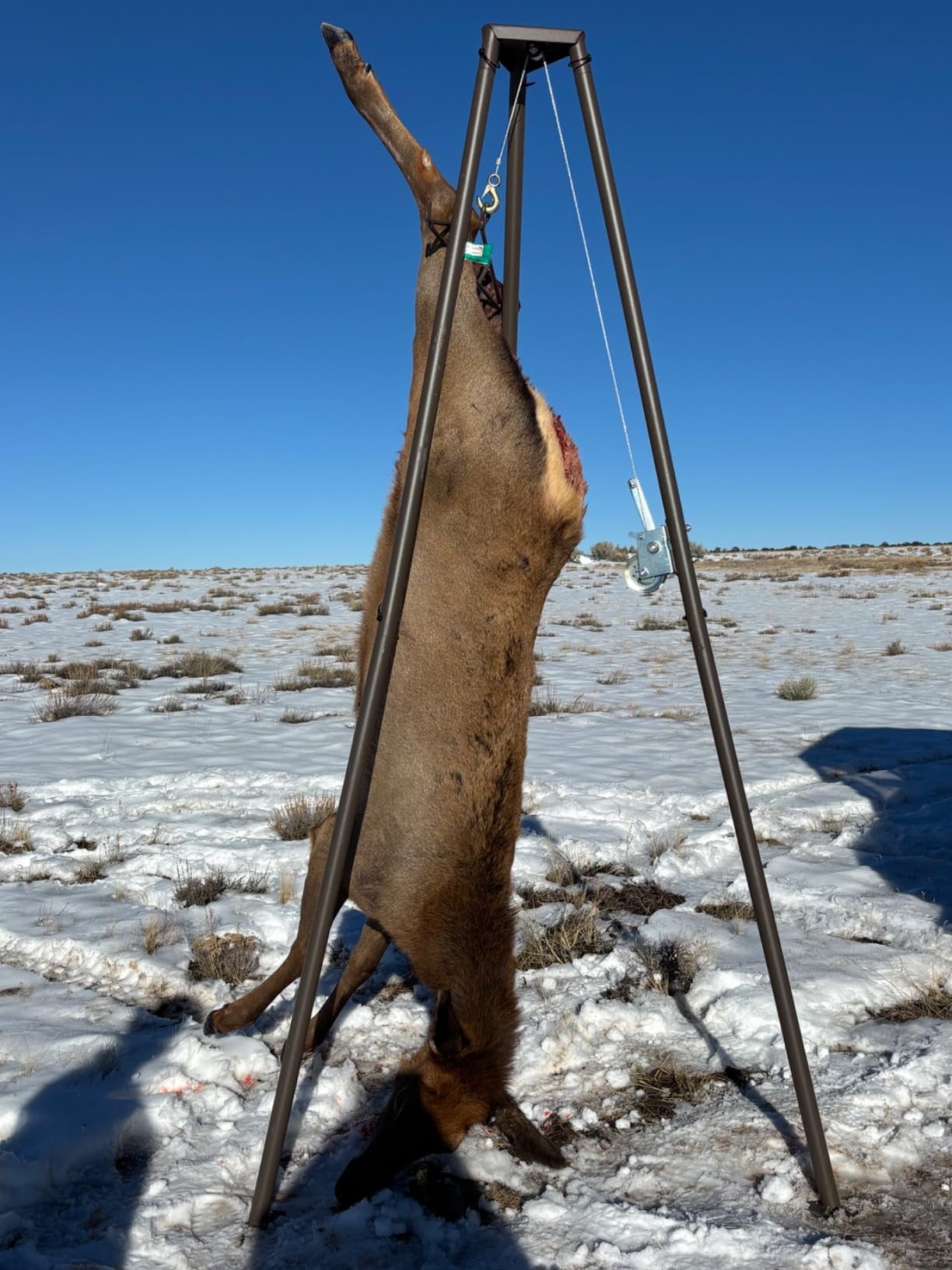 Guide Gear Tripod Portable Game Hanger Deer Hoist Lift System for Hunting, Hide Skinning, Field Dressing customer photo 1