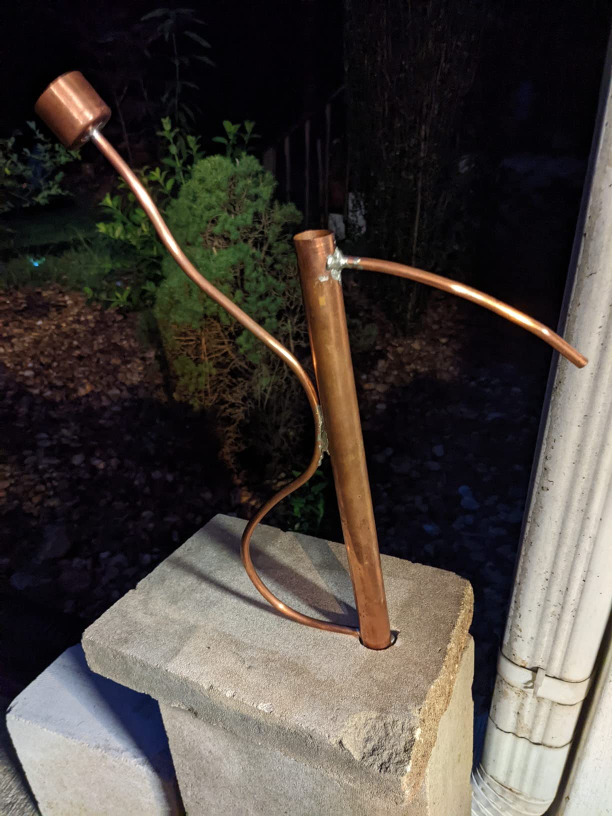 Copper Parrot Kit customer photo 1