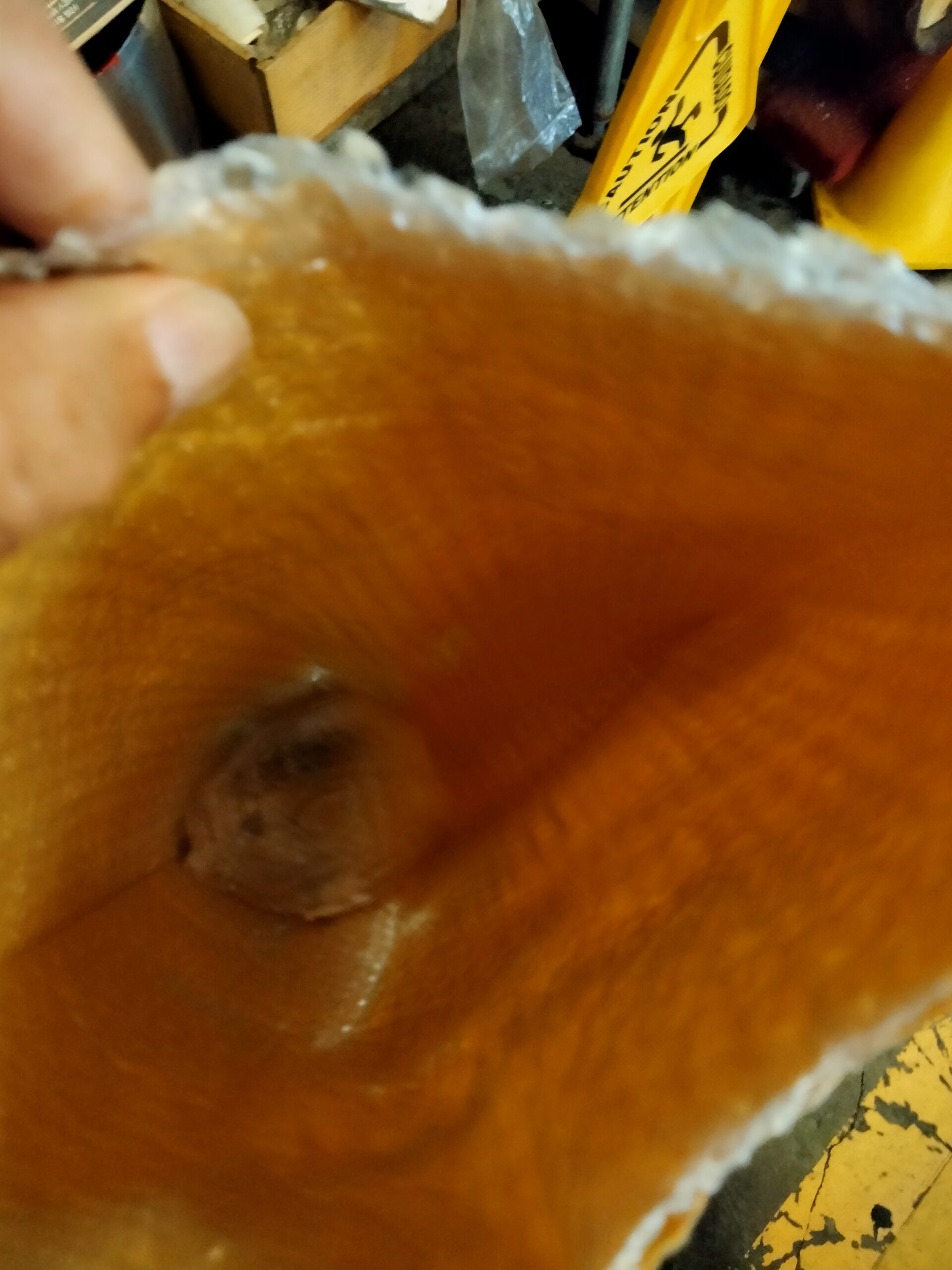 Supreme White Wine Mother of Vinegar (New & Improved Mother) customer photo 3