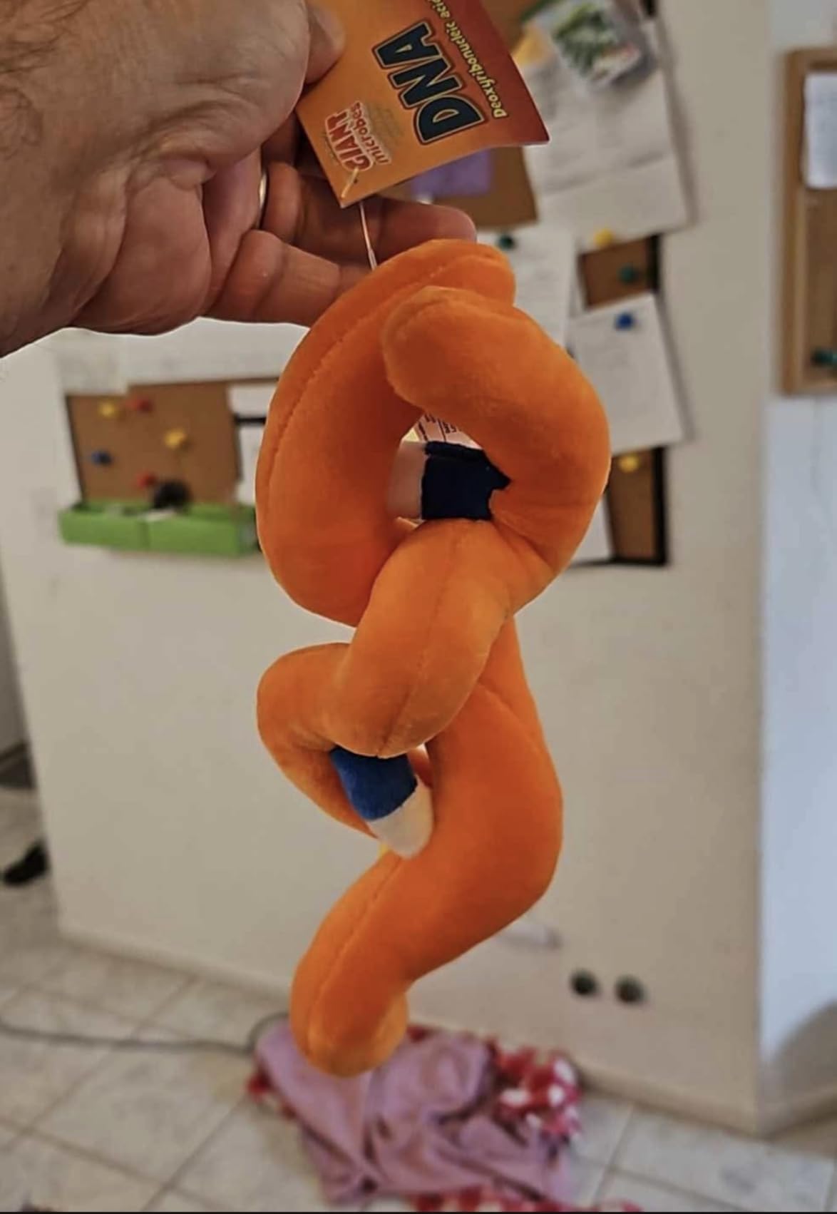 GIANTmicrobes DNA Plush, Genetics Gifts, DNA Gifts, Genetic Counselor Gifts, Genealogy Gifts, Ancestry Gift, Funny Science Teacher Gifts, Forensic Science Gifts customer photo 1