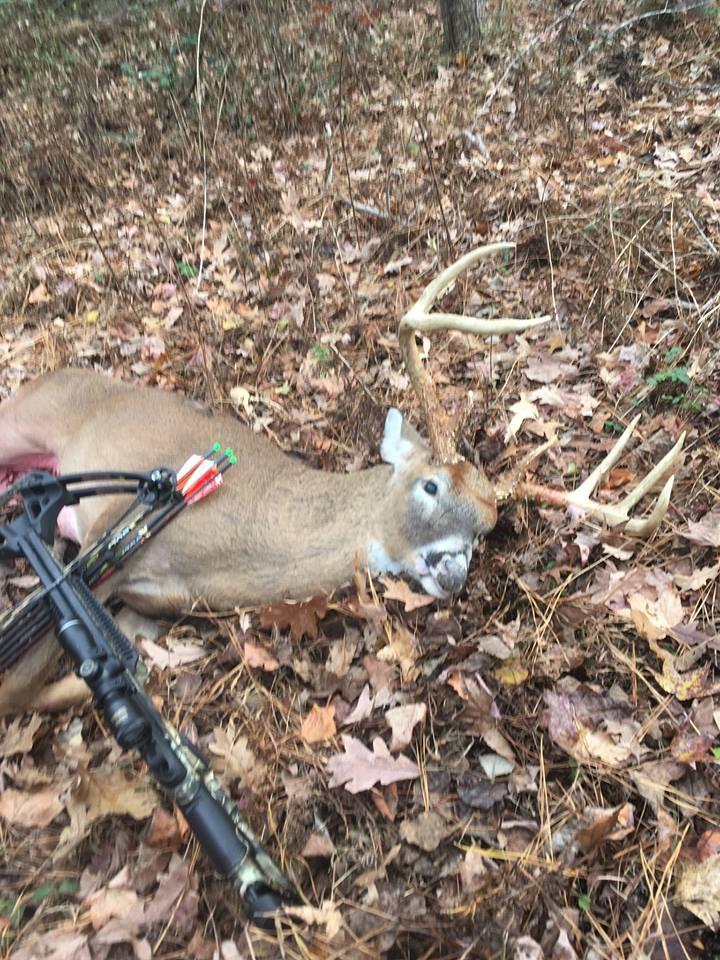 Flextone Hunting Realistic Buck Sounds Battle Bones Whitetail Rattling Deer Antlers Calling System customer photo 2