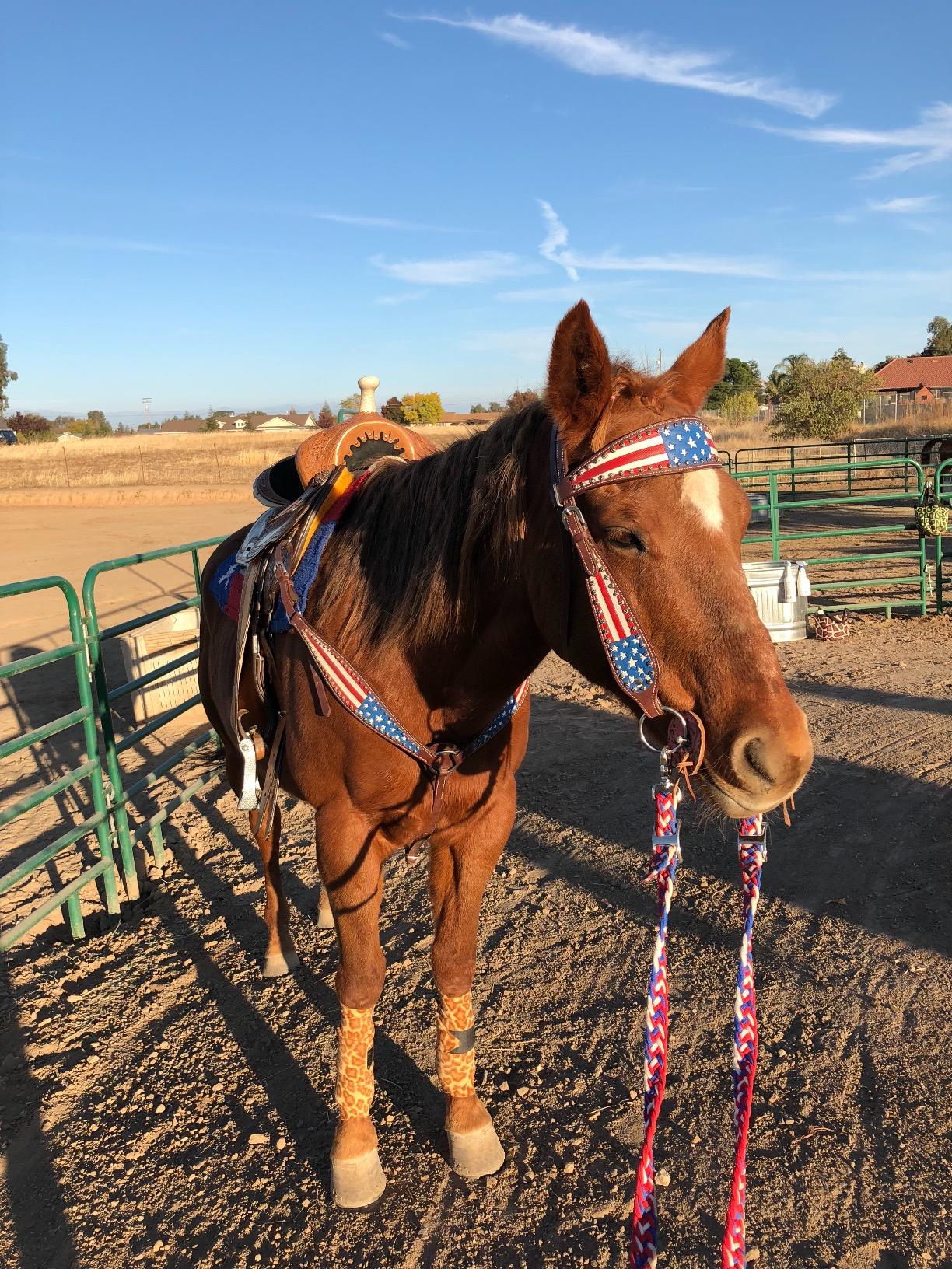 Tahoe Tack Patriotic American Flag Drum Dyed Leather Western Breast Collar(Full Horse Size) customer photo 1