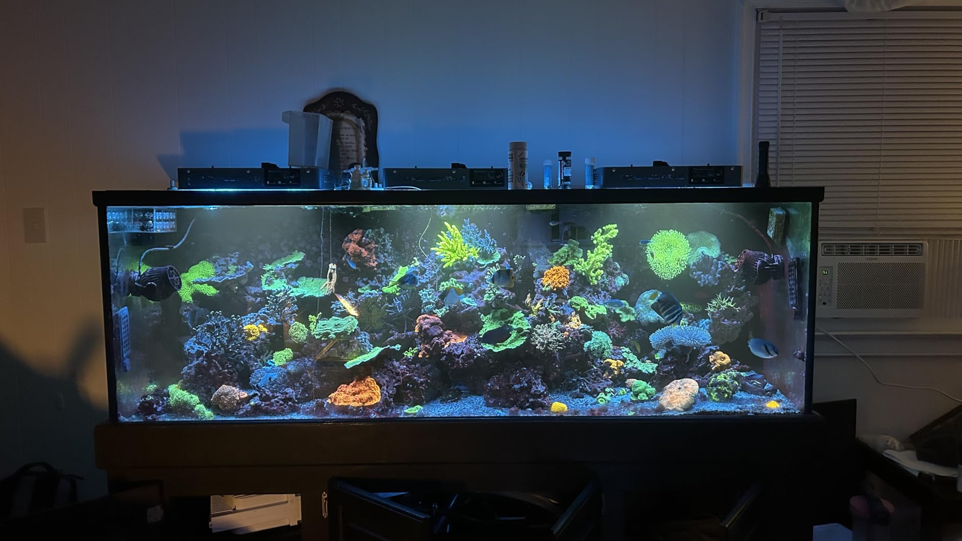 Flexzion 9W UV Pond Light Clarifier for Outdoor Koi Ponds customer photo 1