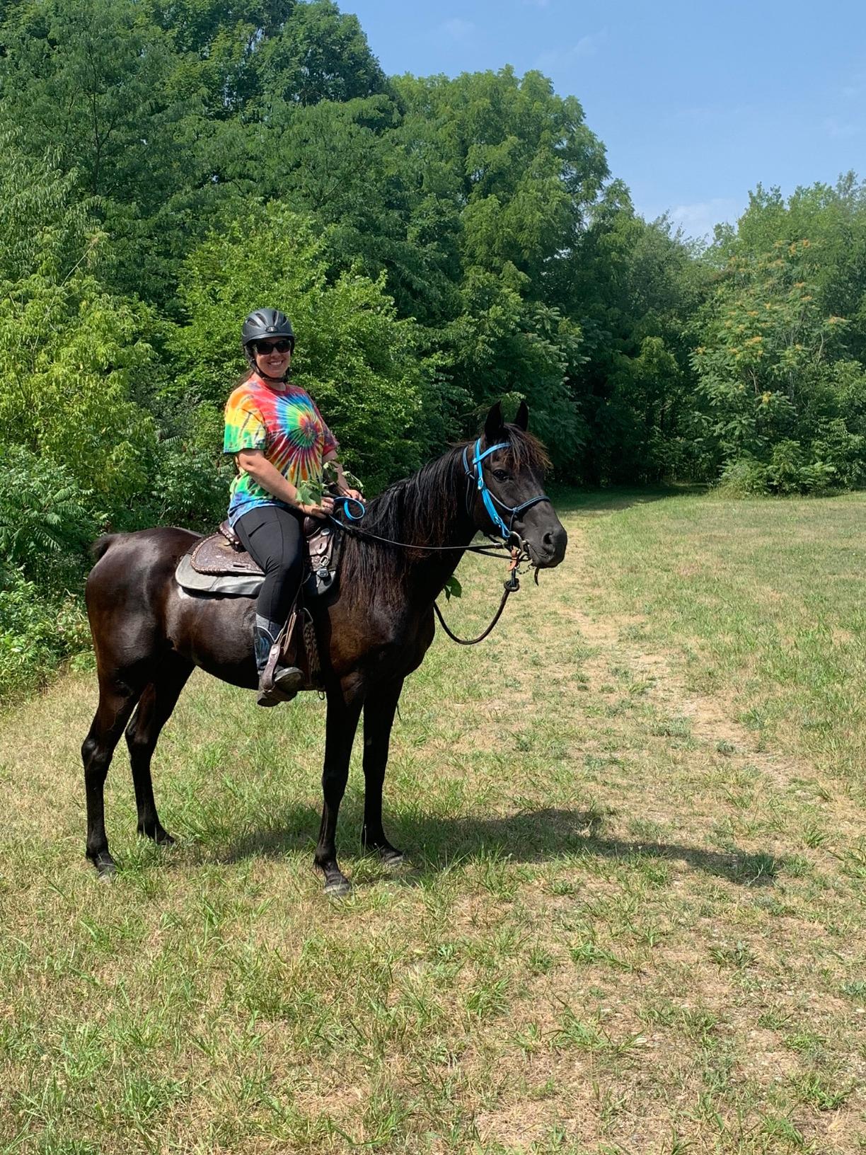 Weaver Leather Brahma Webb Browband Headstall customer photo 2