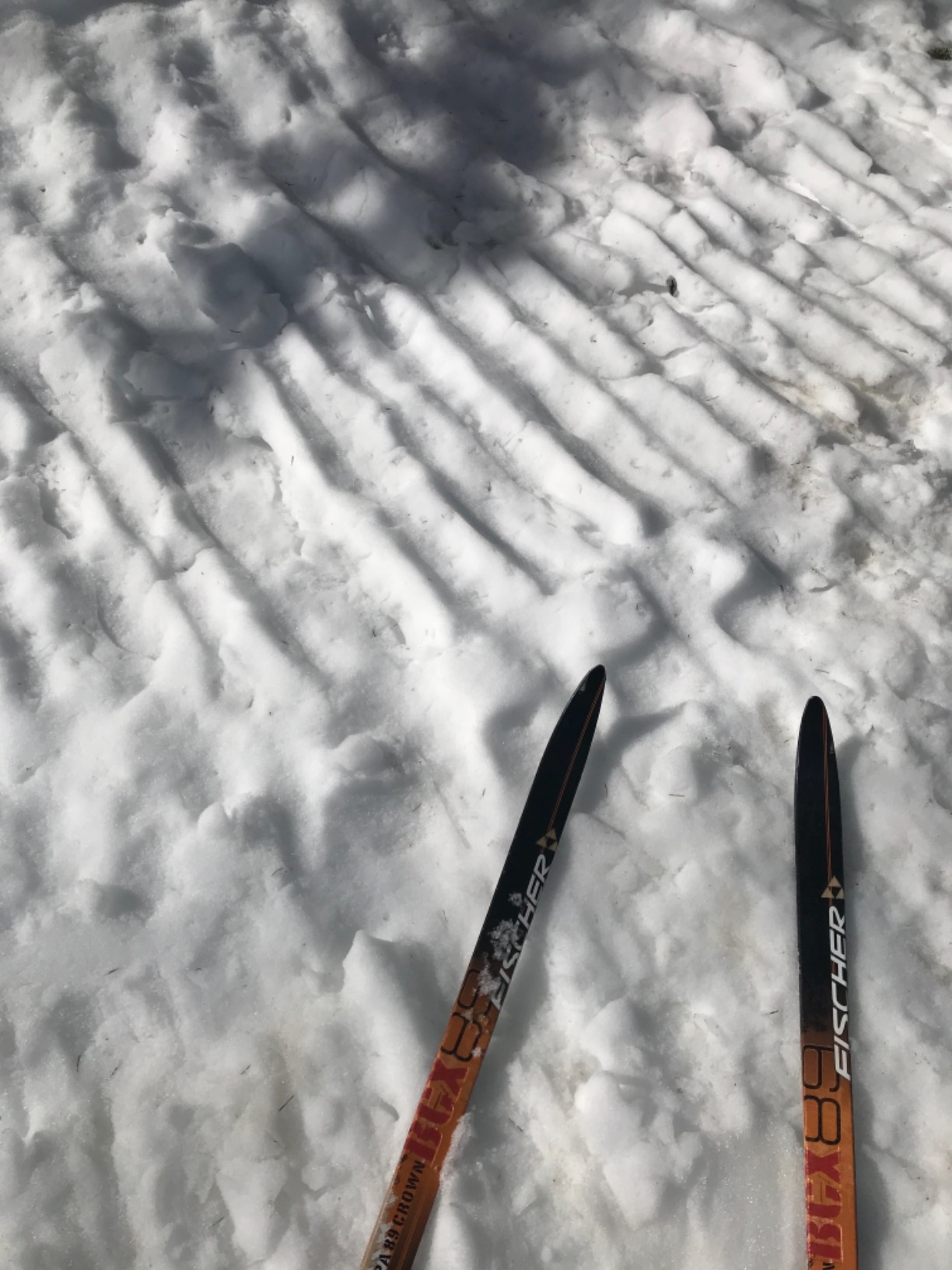 Ski Wax Maxiglide XC Quick Wax For all Cross Country Nordic Skis - 4fl oz container customer photo 2