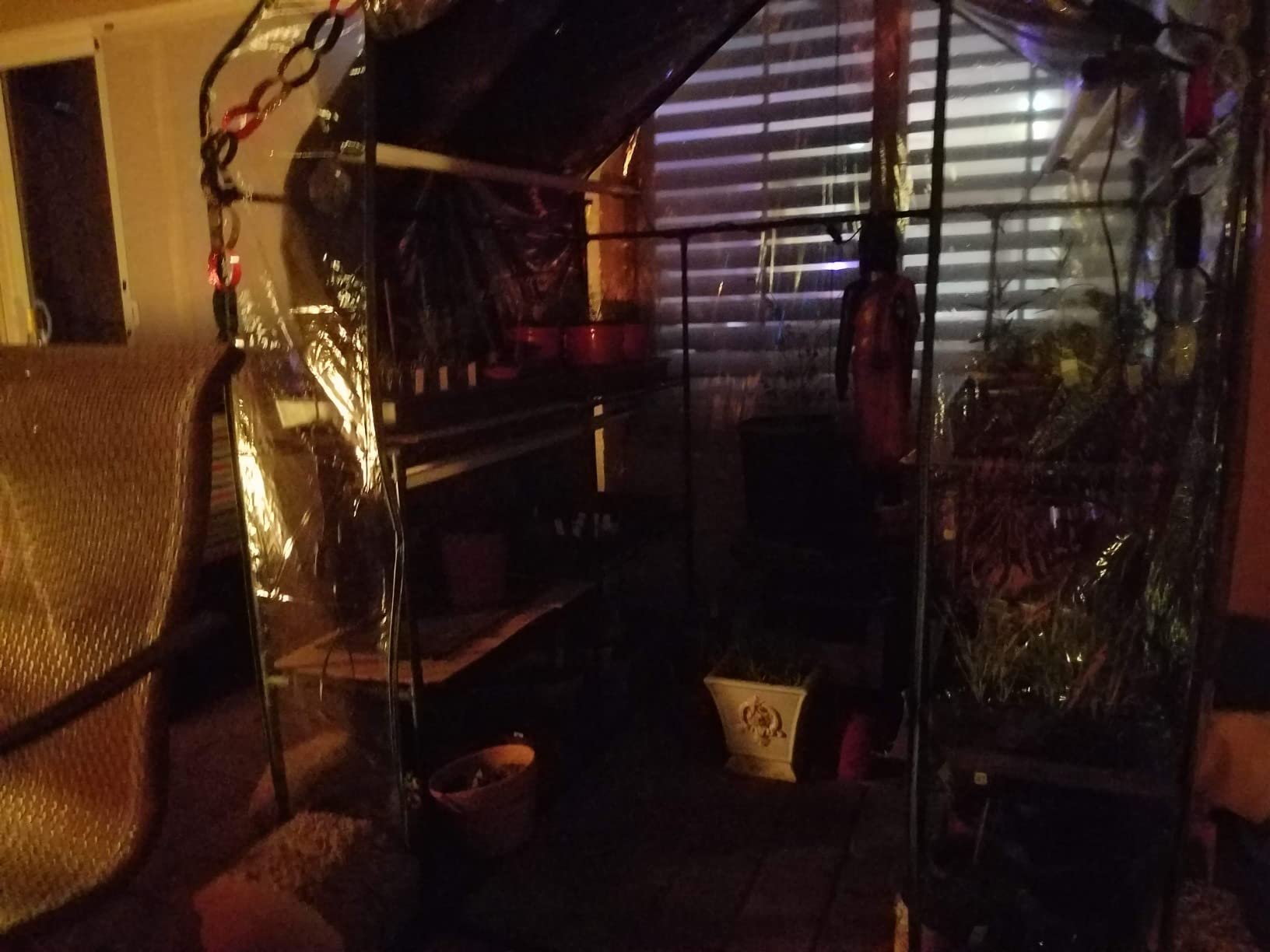 Pure Garden Walk in Greenhouse with 8 Sturdy Shelves and PVC Cover, 56 x 56 x 76-Inch customer photo 1