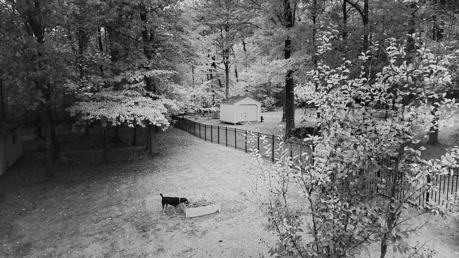 GREEN.L 52mm Infrared Filter, 52mm IR 720nm (R72) Filter for Camera Lens customer photo 1